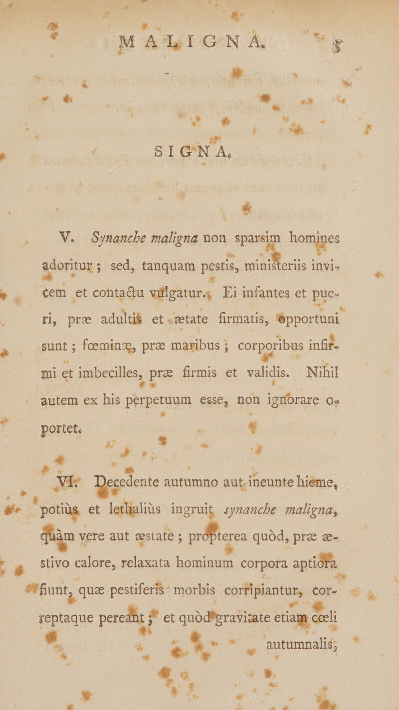 ■ * SIGNA, fi V. Synanche maligna non sparsim homines /tij? .. . adoritur ; sed, tanquam pestis, ministeriis invi¬ cem et conta&amp;u vulgatur. Ei infantes et pue¬ ri, prm adultis et setate firmatis, opportuni sunt; fceminm, prae maribus ; corporibus infir- ♦* mi et imbecilles, prae firmis et validis. Nihil “ t » * autem ex his perpetuum esse, non ignorare o« 40 -9 ( portet* VI. Decedente autumno aut ineunte hieme, potius et lethalius ingruit synanche maligna, quam vere aut sestate ; prdpterea quod, prae te¬ li &gt; stivo calore, relaxata hominum corpora aptiora fiunt, quae pestiferis morbis corripiantur, cor- W M reptaque pereaht f et quod^gravitate etiam coeli ll i 4l autumnalis., * m I W