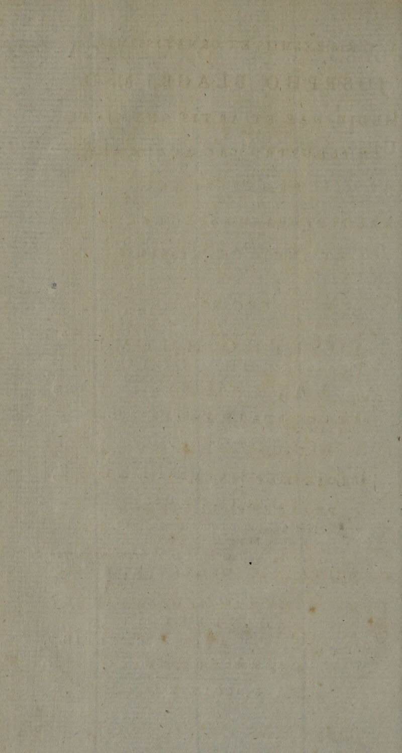 '»U' /. Iaa i l V «f. V. ' » Cj T . ? * ■ ' 4- » I i f '-.■T ' ■ '■ - \'‘ ■ A ' ■ “ «■.,,> V- i; tf, i?-' ■ ;... ' ■■ ■ 1 ; ;■' rv?.' •' :.,• > r- f*' >' n I 1 1 :i •'ffV; •,■, it, .‘h-K '.■'r*' . ■ ■ - ■■ ■■ ‘ 'j(' • •■■ '■ r. ** • • .' ■ * 4 ' ^ ■■« : / V . ^'i■ ♦ X :• i T. f . ■•• -‘A \ «