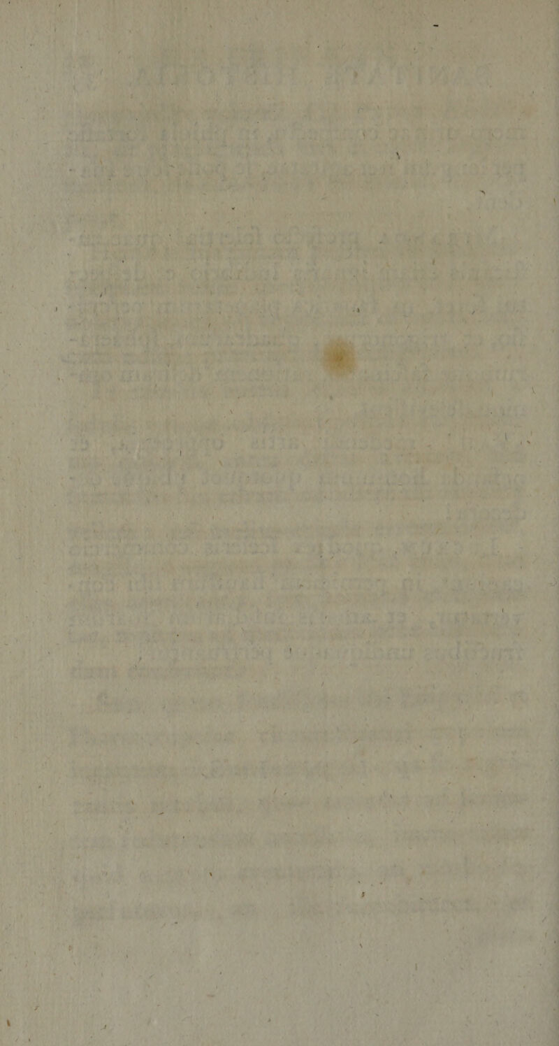 '‘X . ‘ i/* ■ }: ' ■■■J • *. ' ■• ' y* 2f ; ■' A 1 > ■, y - • y \ * ‘ ' ^''1 : ., •' y ‘ * ■ >■:•■ .T^ .1 ^ ' W .^ l <• t • ’r>»y' * ■^ . ’ ■■ r I' A». A ‘> i V • ' r • :., r; ii., it. ■■ ' ^V'''■ ■)* ii*' i \ * f ^'^^ ^ TV *V ^ V • >' ' A-' *.. 'T * ‘ ? > ^ t •• ‘' c . • l. - v-i > '*.• 5 ^ ■'.» •■ * V S- ^'5- - ' , w. ^ V * i ’ 'a •* i .f * .* ■* •• ^'' . ■ -it . :'-‘\v,: ’■'■ *■ • ':t ' ■ ...y ' 1 ' • ' «*A'**. y,.* < ! '■'•• ^■‘r. Iy, ,-' “i >*;* • '■ 'i-'' , / . \ ;, ,r ■ A-f ..'.• »■ / ■ 1 s J ■. 1,^ ••>i O r:U,'ov.. ■ t ■( ' :l, - - '/.S '■ -■ • U- ’ > '•■ ■‘;,r::5‘>- rA • ' ■ ^ • ' J-T- :. • ■; r. • . .V , \‘ • S _ •'X' ‘ f i ^•,,; ^ . . 'y. t, ■ ^ i I-i» ►..'tt* .,' . ’ r» ; . CH ■ .' ' ■'* . T.. ,t. 'V ■« ' ' . ' T ' ■• . ,...^*/t ...f ';.. . ■! V. / - ■*^. W. ■ ',r' . ' ■■' ■'. . . , Nv ■:-’V V '■ • ^' 1. n'- ii ^'t^' ’ '• '%'■ '■■ ' V ■V f.. < '; ■ . . i,' •, ■ , -/•.*.%. ♦ f. /k:'A 'V'-Vr>:; • 1 -fl l
