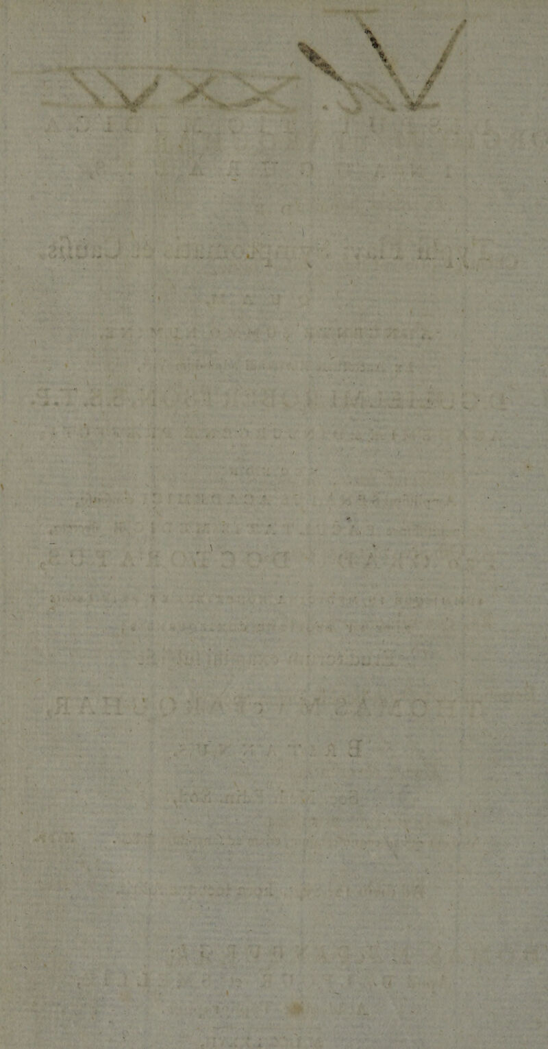 *'' •- *•*! • •' ■ - » • - - - ~ . • . I. *. f ■ »■ * i t - I t **  . ' , •' »V ■•.:••'. -r' : - W - ... a- \ k • . •« t*< . . • % ■ • .. V J