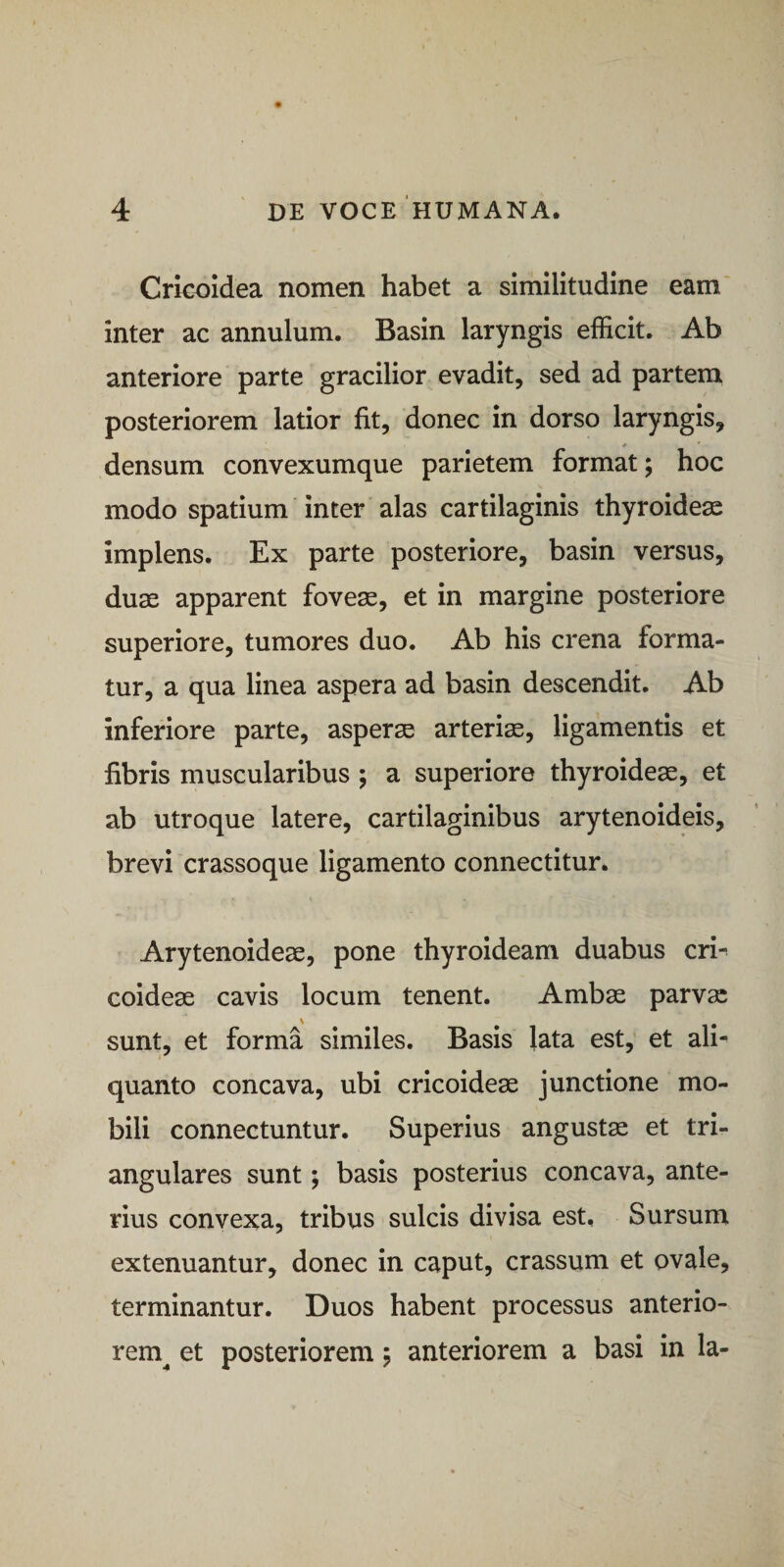 Crkoidea nomen habet a similitudine eam' inter ac annulum. Basin laryngis efficit. Ab anteriore parte gracilior evadit, sed ad parteni posteriorem latior fit, donec in dorso laryngis, densum convexumque parietem format; hoc modo spatium inter alas cartilaginis thyroideae implens. Ex parte posteriore, basin versus, duae apparent foveae, et in margine posteriore superiore, tumores duo. Ab his crena forma¬ tur, a qua linea aspera ad basin descendit. Ab inferiore parte, asperae arteriae, ligamentis et fibris muscularibus ; a superiore thyroideae, et ab utroque latere, cartilaginibus arytenoideis, brevi crassoque ligamento connectitur. Arytenoideae, pone thyroideam duabus cri^ coideae cavis locum tenent. Ambae parvae sunt, et forma similes. Basis lata est, et ali- quanto concava, ubi cricoideae junctione mo¬ bili connectuntur. Superius angustae et tri¬ angulares sunt; basis posterius concava, ante¬ rius convexa, tribus sulcis divisa est. Sursum extenuantur, donec in caput, crassum et ovale, terminantur. Duos habent processus anterio¬ rem^ et posteriorem; anteriorem a basi in la-