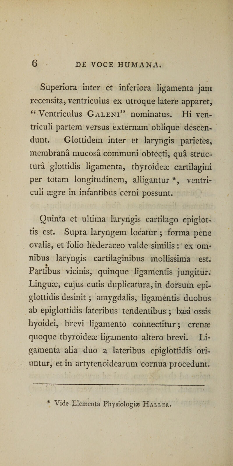 Superiora inter et inferiora ligamenta jam recensita, ventriculus ex utroque latere apparet. Ventriculus Galeni” nominatus. Hi ven¬ triculi partem versus externam oblique descen¬ dunt. Glottidem inter et laryngis parietes, membrana mucosa communi obtecti, qua struc¬ tura glottidis ligamenta, thyroideae cartilagini per totam longitudinem, alligantur *, ventri¬ culi aegre in infantibus cerni possunt. Quinta et ultima laryngis cartilago epiglot¬ tis est. Supra laryngem locatur ; forma pene ovalis, et folio hederaceo valde similis: ex om¬ nibus laryngis cartilaginibus mollissima est. Partibus vicinis, quinque ligamentis jungitur. Linguae, cujus cutis duplicatura, in dorsum epi¬ glottidis desinit; amygdalis, ligamentis duobus ab epiglottidis lateribus tendentibus; basi ossis hyoidei, brevi ligamento connectitur; crenae quoque thyroideae ligamento altero brevi. Li¬ gamenta alia duo a lateribus epiglottidis ori¬ untur, et in artytenoidearum cornua procedunt. * Vide Elementa Physiologise Haller.