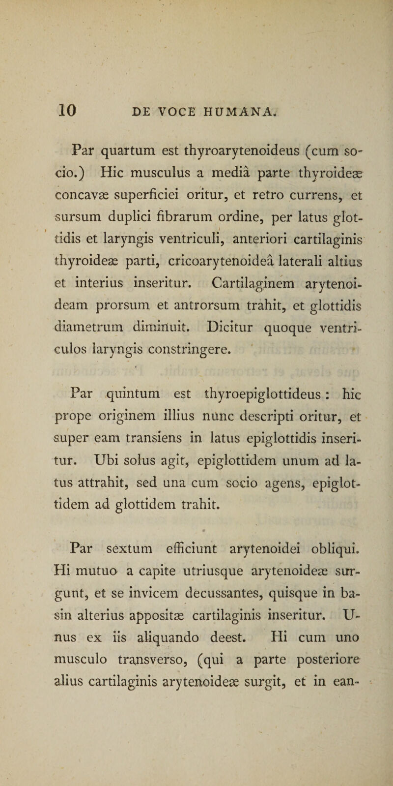 Par quartum est thyroarytenoideus (cum so¬ cio.) Hic musculus a media parte thyroideas concavas superficiei oritur, et retro currens, et sursum duplici fibrarum ordine, per latus glot¬ tidis et laryngis ventriculi, anteriori cartilaginis thyroidea parti, cricoarytenoidea laterali altius et interius inseritur. Cartilaginem arytenoi¬ deam prorsum et antrorsum trahit, et glottidis diametrum diminuit. Dicitur quoque ventri¬ culos laryngis constringere. Par quintum est thyroepiglottideus: hic prope originem illius nunc descripti oritur, et super eam transiens in latus epiglottidis inseri¬ tur. Ubi solus agit, epiglottidem unum ad la¬ tus attrahit, sed una cum socio agens, epiglot¬ tidem ad glottidem trahit. • Par sextum efficiunt arytenoidei obliqui. Hi mutuo a capite utriusque arytenoideae sur- gunt, et se invicem decussantes, quisque in ba- sin alterius appositae cartilaginis inseritur. U- nus ex iis aliquando deest. Hi cum uno musculo transverso, (qui a parte posteriore alius cartilaginis arytenoideae surgit, et in ean-