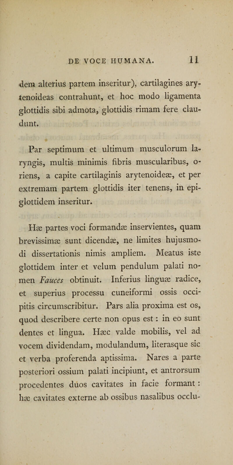 dem alterius partem inseritur), cartilagines ary- tenoideas contrahunt, et hoc modo ligamenta glottidis sibi admota, glottidis rimam fere clau¬ dunt. Par septimum et ultimum musculorum la¬ ryngis, multis minimis fibris muscularibus, o- riens, a capite cartilaginis arytenoideas, et per extremam partem glottidis iter tenens, in epi- glottidem inseritur. Hae partes voci formandm inservientes, quam brevissimae sunt dicendae, ne limites hujusmo¬ di dissertationis nimis ampliem. Meatus iste glottidem inter et velum pendulum palati no¬ men Fauces obtinuit. Inferius linguas radice, et superius processu cuneiformi ossis occi¬ pitis circumscribitur. Pars alia proxima est os, quod describere certe non opus est: in eo sunt dentes et lingua. Haec valde mobilis, vel ad vocem dividendam, modulandum, literasque sic et verba proferenda aptissima. Nares a parte posteriori ossium palati incipiunt, et antrorsum procedentes duos cavitates in facie formant: hae cavitates externe ab ossibus nasalibus occlu-