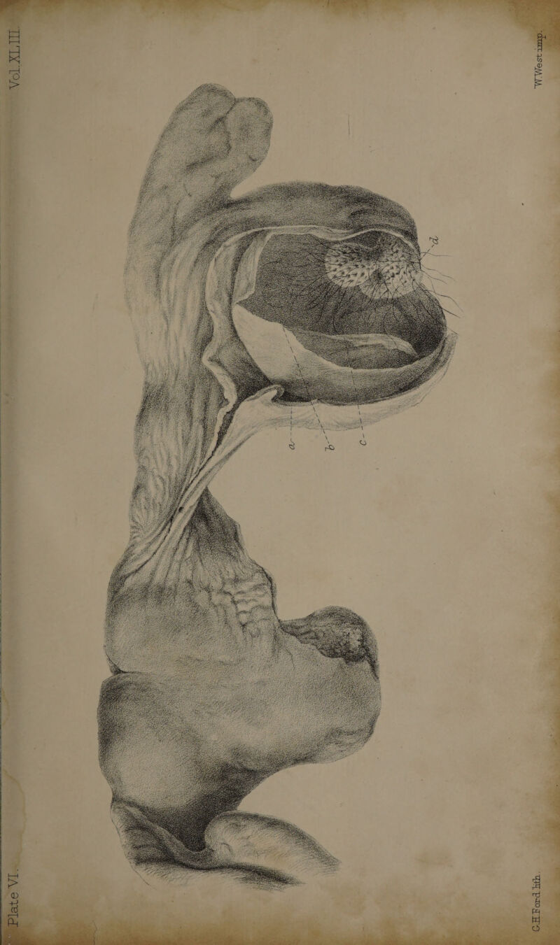 Plate VI. Vol.XLIII. &amp;JE.Eardli£h.. 'W.’Westimp.