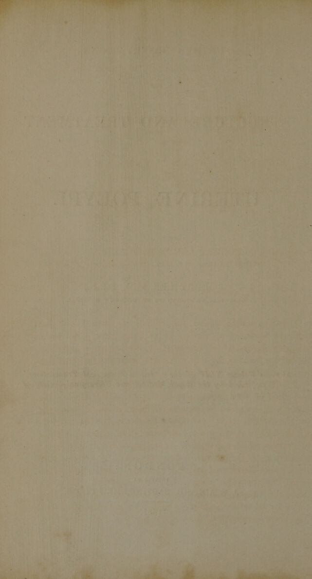 digitised image 2