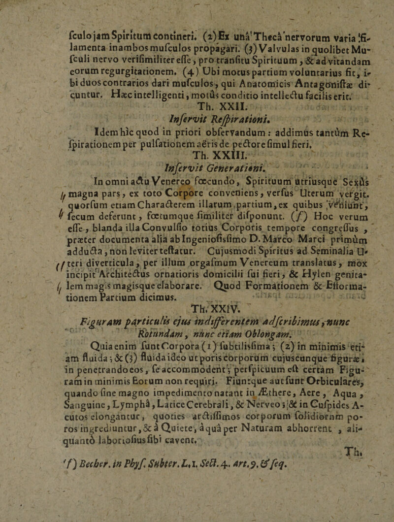 fculo jam Spiritum contineri* (i)Ex una'Theca nervorum varia Ifi-* lamenta inambosmufculos propagari. 0) Valvulas in quolibet Mu- fculi nervo verifimiliterelTe , pro tranfitu Spirituum , &amp; ad vitandam eorum regurgitationem* (4) Ubi motus partium voluntarius fit, i-f biduos contrarios dari mufculos, qui Anatomicis Antagoniftje di* quntur. Haec intelligenti i motus conditio intelledu facilis erit. Th. XXII. ' Infirvit Refpirationu Idem hic quod in priori obfervandum ; addimus tantum Rc- ipirationemper pulfationcm aeris de pedore (imul fieri» Th. XXIII. Inffrvit Generationi* In omni adii Venereo foecundo, Spirituum utriusque Sexiis magna pars, ex toto Corpore conveniens, verfus Uterum yergit. quorfum etiamCharaderem illarum,partium,ex quibus 'v^^fiiunt, ^ fecum deferunt, foctumque fimiliter difponunt. (/) Hoc verum efle , blanda illa Convulfio totius Corporis tempore congreflus , praeter documenta alia abingeniofisfimo D. Marco Marci primitm adduda,non leviterteftatur. Cujusmodi Spiritus ad Seminalia U- ^^teri diverticula, per illum orgafmum Venereum translatus, mox incipi/^Architedus ornatioris domicilii fui fieri, &amp; Hylen genita* ll lem magis magisque elaborare. Quod Formationehi &amp; Fflorina- tionemPartium dicimus. , _  Th.XXlV. Figuram particulis ejtis indtjferentem adfcribmus r%unc ' ^ Woitindam, nunc etiam Oblongam, Quiaenim funtCorpora (i) Tubtilisfima; (2) in minimis eti¬ am fluida i (3c(0 fluida ideo ut poris corporum cujuscunque figurae * in pene^trandoeos, feaccoromodentVperfpicuum eft certam Figu¬ ram in minimis Eorum non requiri. Fiunrque aut funt Orbiculares, quando fine magno impedimento natant in iEthere, Aere, Aqua ,' Sanguine, Lymph^, Latice Cerebrali, &amp; Nerveo 5(&amp; in Cufpides A- cutos elongantur, quoties ardiffimos corporumfolidiornmpo- ros ingrediuntur,Sci Quiete» aqua per Naturam abhorrent , ali- qiiantA laboriofiusfibi cavent* Th. ^f^BecheKinFhyf,SHhter,LA*SeU,/^,Art,^,ii{eq,