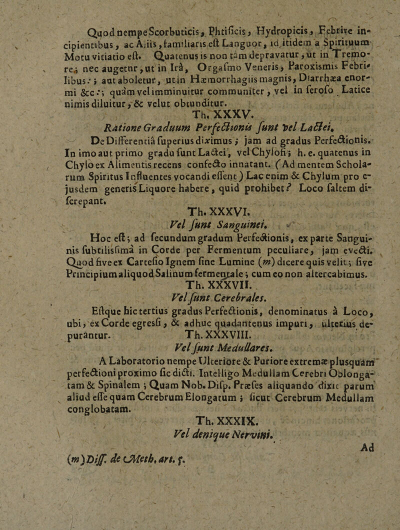 Quod nempe Scorbuticis, ?htificis&gt; Hydropicis, Febdr e in¬ cipientibus, ac Aliis,bmUianseft Languor, idjtideoi a Spirituum Motu vitiatio eft* Quatenus is non tam depravatur ,ut in Tremo- rcrt nec augctnr,ut in Ir^, Orgafmo Veneris, Faroxismis Febr^ libus.*j autabolecur, utin Hacmorrhagiismagnis, Diarrbaea enor¬ mi &amp;c quam vel imminuitur communiter, vel in ferofo Latice nimis diluitur, &amp; velut obtunditur. Th. XXXVv Ratione Graduum PerfeBtonte funt loel LaBeu De Differentia fuperius dijfimus ,* jam ad gradus Perfedionis. In imo aut primo gradu funt La6lei', vcl Chylon j h. e. quatenus in Chylbex Alimentis recens confc&lt;9:o innatant. (Ad mentem Schola- runa Spiritus Influentes vocandi eflent) Lac enim &amp; Chylum pro e- jusdem generis Liquore habere, quid prohibet.^ Loco faltem di* ferepant» Th. XXXVI. Fel funt Sanguinei» Hocefti ad fecundum gradum Perfedtionis, exparte Sangui¬ nis fubtilishma in Corde per Fermentum peculiare, jam evedu Quodhvcex Cartefio Ignem fine Lumine («;) dicere quis veiit ^ five PrincipiumaliquodSalinumferme^ie; cum eo non altercabimus. Th. XXXVII. VeLfunt Cerebrales, Eilque hic tertius gradus Perfedlionis, denominatus a Loco, ubi /ex Corde egresfi , &amp; adhuc quadantenus impuri, ulteriuis de* putantur. Th. XXXVIII. Vel funt Medullares» A Laboratorio nempe Hlteriore &amp; Puriore extremae plusquam' perfei^ioni proximo fic didfi. Intelligo Meduliam Cerebri Oblonga* tanitSc Spinalem j Quam Nob.Dirp. Praefes aliquando rfixic parum aliud efie quam Cerebrum EloDgatum i iicuc Cerebrum Medullam conglobatam. Th. XXXIX. Vel denique Nervinu de tJMeth^ art, f. Ad /