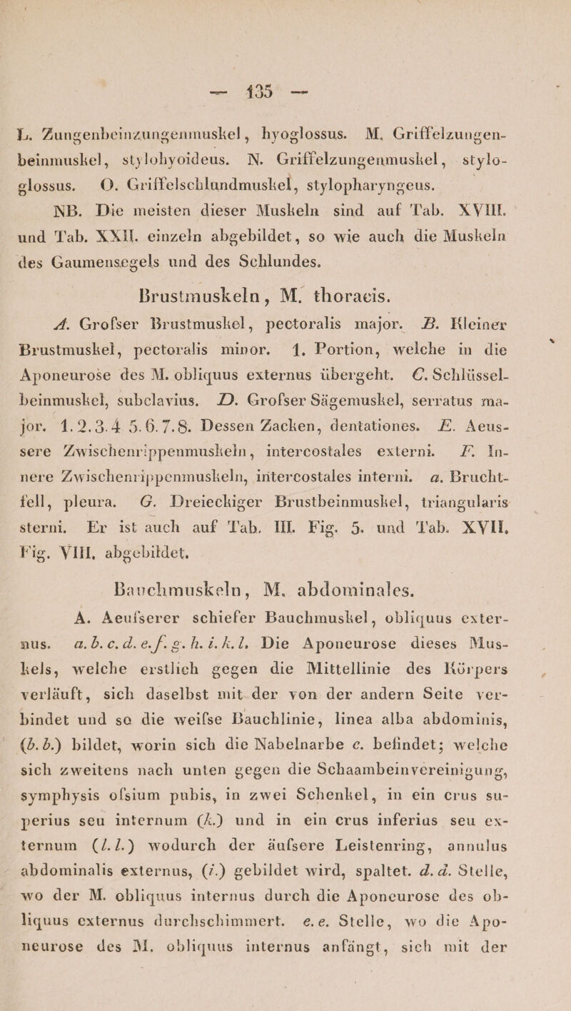 L. Zungenbeinzungenmuskel, hyoglossus. M, Griffelzungen- beinmuskel, stylohyoideus. N. Griffelzungenmuskel, stylo- giossus. O. GrilTelsclilundmuskel, stylopharyngeus. NB. Die meisten dieser Muskeln sind auf Tab. XVIII. und Tab. XXII. einzeln abgebildet, so wie auch die Muskeln des Gaumensegels und des Schlundes. Brustmuskeln, M. tlioraeis. A. Grofser Brustmuskel, pectoralis major. B. Kleiner Brustmuskel, pectoralis minor. 1* Portion, welche in die Aponeurose des M. obliquus externus übergeht. C. Schlüssel- beinmuskel, subclavius. D. Grofser Sägemuskel, serratus ma¬ jor. 1.2.3.4 5-6. 7.8. Dessen Zacken, dentationes. F. Aeus- sere Zwischenrippenmuskeln, intercostales extern!. F. In¬ nere Zwischenrippenmuskeln, intercostales intern!, a, Brucht- fell, pleura. G. Dreieckiger Brustbeinmuskel, triangularis sterni. Er ist auch auf Tab. III. Fig. 5* und Tab. XVII» Fig. VIII. abgebildet. Bauchmuskeln, M, abdominales. A. Aeufserer schiefer Bauchmuskel, obliquus exter¬ nus. a.b. c. d. e.f. g-h. i. k.L Die Aponeurose dieses Mus¬ kels, welche erstlich gegen die Mittellinie des Körpers verläuft, sich daselbst mit der von der andern Seite ver¬ bindet und so die weifse Bauchlinie, linea alba abdominis, {b.b.') bildet, worin sich die Nabelnarbe c. befindet; welche sich zweitens nach unten gegen die Schaambeinvereinigung, symphysis ofsium pubis, in zwei Schenkel, in ein crus su- perius seu internum (A.) und in ein crus inferius seu ex- ternum (/./.) wodurch der äufsere Leistenring, annulus abdominalis externus, (/.) gebildet wird, spaltet, d.d. Stelle, wo der M. obliquus internus durch die Aponeurose des ob- liquus externus durchschimmert, e.e. Stelle, wo die Apo¬ neurose des M. obliquus internus an fängt, sieh mit der