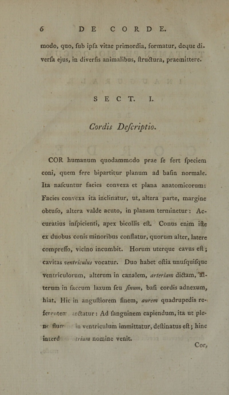 modo, quo, fub ipfa vitae primordia, formatur, deque di- » verfa ejus, in diverfis animalibus, ftrucSlura, praemittere. S E C T. I. Cordis Defcriptio. COR humanum quodammodo prae fe fert fpeciem coni, quem fere bipartitur planum ad bafin normale. Ita nafcuntur facies convexa et plana anatomicorum: Facies convexa ita inclinatur, ut, altera parte, margine obtufo, altera valde acuto, in planam terminetur: Ac¬ curatius infpicienti, apex bicollis eft. Conus enim iftc cx duobus 'conis minoribus conflatur, quorum alter, latere compreflb, vicino incumbit. Horum uterque cavus eft; cavitas ventriculus vocatur. Duo habet oftia unufquifque ventriculorum, alterum in canalem, arteriam dl&lt;5lam, Al¬ terum In faecum laxum feu Jinum, bafi cordis adnexum, hiat. Hic in anguftiorem finem, aurem quadrupedis re-i ferciiterr ^irdlatur: Ad fangulnem capiendum, ita ut ple- nr flurr in ventriculum immittatur, deftinatus eft; hinc interd trium nomine venit. Cor,