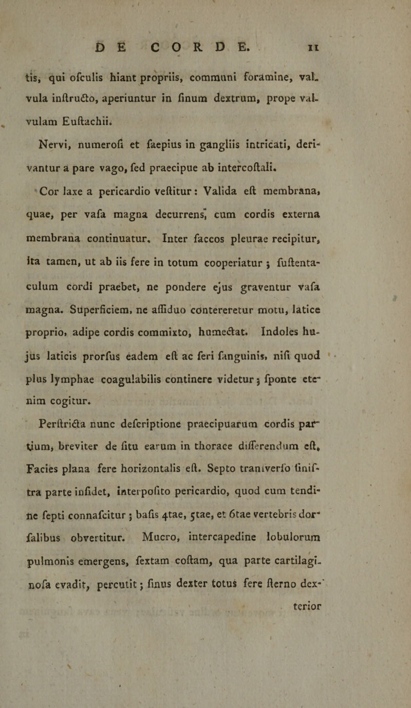 tis, qui ofculis hiant propriis, communi foramine, val¬ vula inftrudlo, aperiuntur in fmum dextrum, prope val¬ vulam Euftachii. Nervi, numeroli et faepius in gangliis intricati, deri¬ vantur a pare vago, fed praecipue ab intercoftali. 'Cor laxe a pericardio vellitur: Valida eft membrana, quae, per vafa magna decurrens] cum cordis externa membrana continuatur. Inter faccos pleurae recipitur, ita tamen, ut ab iis fere in totum cooperiatur ; fullenta- culum cordi praebet, ne pondere ejus graventur vafa magna. Superficiem, ne afliduo contereretur motu, latice proprio» adipe cordis commixto, humecflat. Indoles hu¬ jus laticis prorfus eadem eft ac feri fanguinis, nift quod plus lymphae coagulabilis continere videtur 5 fpontc ete~ nim cogitur. Perftridla nunc defcHptione praecipuarum cordis paf tjum, breviter de litu earum in thorace differendum eft. Facies plana fere horizontalis eft. Septo traniverfo (inif- tra parte infidet, iaterpofito pericardio, quod cum tendi¬ ne fepti connafcitur 5 bafis 4tae, 5tae, et 6tae vertebris dor^ falibus obvertitur. Mucro, intercapedine lobulorum t pulmonis emergens, fextam collam, qua parte cartilagi- nofa evadit, percutit j finus dexter totus fere ftcrno dex-' terior