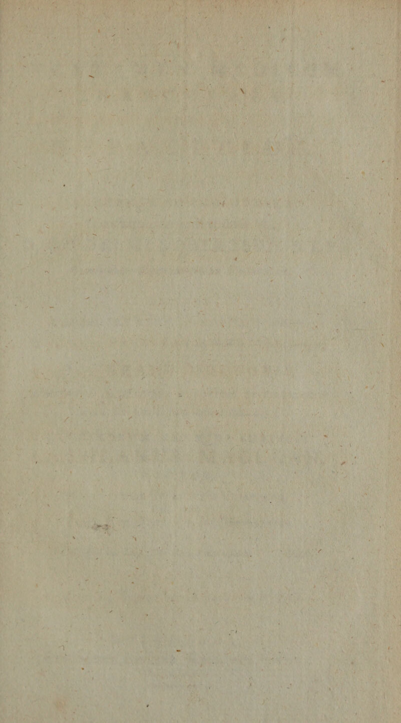 f \ • .y I t , I Nv. ^ T / / ■l / y ■ ' - ' ) \ / ■ 'Nv' V-' v.'' i •\ \