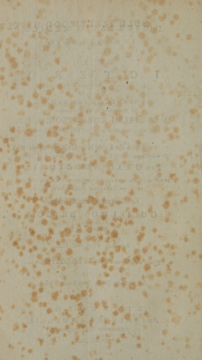 ■ • ' ■ ' W' ■ t