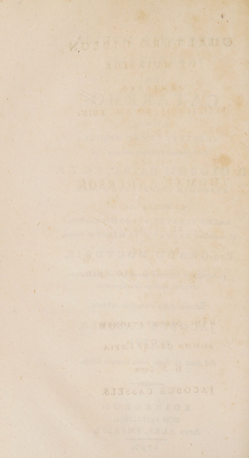 'n.-' « ' >* •' .>'^ '■ k- * • jif «r '^ . \ lA V : t'r,! o-r-Kf'I :^ '. . ■■ •• >>'j' ,' . I, . .. . -r.t <._ ' ■.., ** J r. ■ •J r ^ V. ^ u 'f , '■ vv’f \ v ;■ ?• A .’■ jW-' ^ - -C . ■^. SPA ■ • :-h. • V ■• > ■ * ' * s ■j- H ■ 5' . V ^ t S P. .tr?:- . V' X O V .-i ,’ '-A ' . . s % O -H I '■'' •kev- ,« 4 ^ ^ -«J > fc ‘I- ..... V;.;- 1 /*A ’>;x; ./ra U' • 0 , • ^' 'y . “.■‘1 Vt'  y* '^•. ',j' ■ - ^ • --W’- H k. %- . ^ y. ^ , »■■*-■ ‘ ' I . ■' .''■ • T ;*■ • \.'Z\ ■.h I l Wv « S' ^ • > .'■•.• I ' , .4 .. :.. . ' • • ^..■. ;£ •tr ^-(1. -(t , ^ .8J3c.A'J fc J tlODA l • \ ■ ' v' ■ •: IB . •■ ■. v‘' Ci Ii ''w ’ ' >.,V’, ■' • •■*»', V'' ■ »■*'•*■ •, - i'Ai 17 l 'l'',■'■'