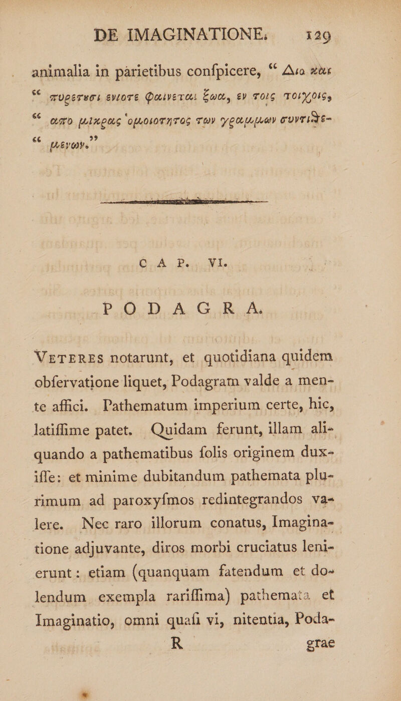 animalia in parietibus confpicere, “ A/a xtu u TrvgznsG-i sviotb (pouvtjcu tgcou, ev roig toiyoig^ w atro [AlKgccg 'of/sotorrirog rm ygufAftav (rvvnS? a )) {A,£VCt)Vo C A P. VI. PODAGRA. Veteres notarunt, et quotidiana quidem obfervatione liquet, Podagram valde a men¬ te affici. Pathematum imperium certe, hic, latiffime patet. Quidam ferunt, illam ali¬ quando a pathematibus folis originem dux- iffe: et minime dubitandum pathemata plu¬ rimum ad paroxyfmos redintegrandos va¬ lere. Nec raro illorum conatus, Imagina¬ tione adjuvante, diros morbi cruciatus leni¬ erunt : etiam (quanquam fatendum et do- lendum exempla rariffima) pathemata et Imaginatio, omni quafi vi, nitentia, Poda- R grae