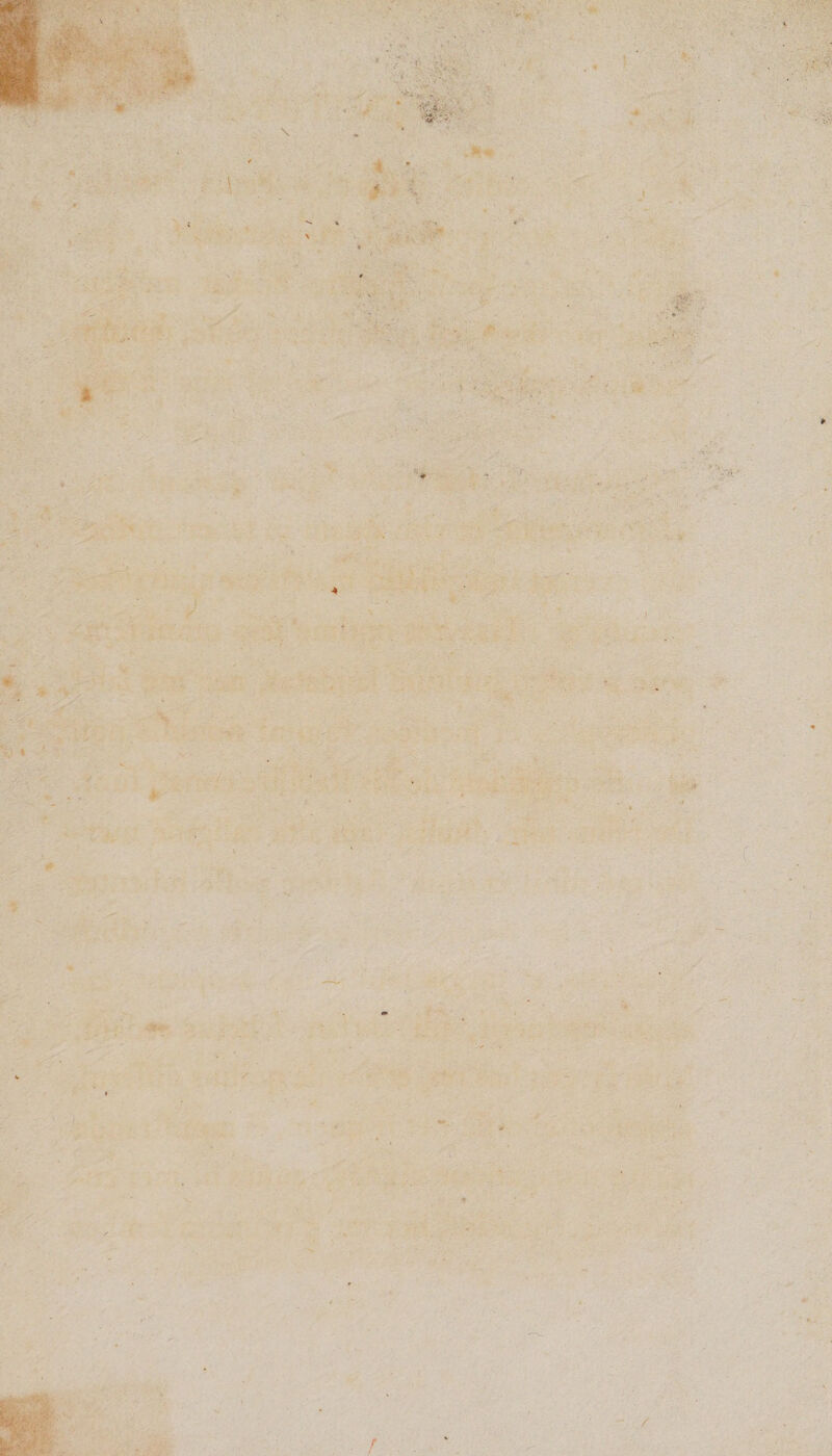 Wm ■ *■ * \ * V •• V. M i % < *v , «r V- - A - * ' * . .• J 5 * / r