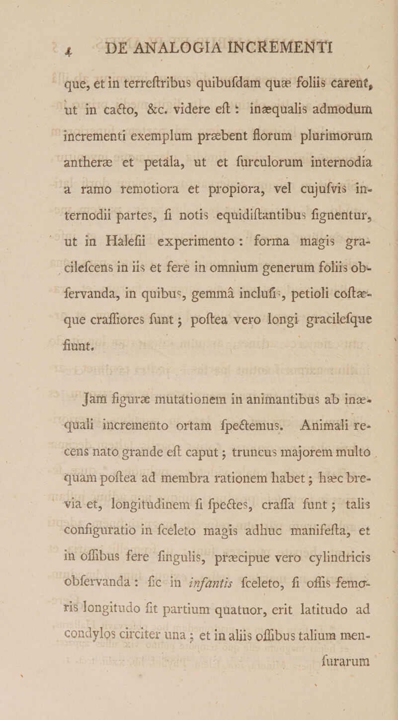 que, et in terreftribus quibufdam quae foliis carent^ ut in ca£i:o, &amp;c. videre efl t inaequalis admodum incrementi exemplum praebent florum plurimorum antherae et petala, ut et furculorum internodia a ramo remotiora et propiora, vel cujufvis in¬ ternodii partes, fi notis equidiftantibus fignentur, ut in Halefii experimento: forma magis gra- ^ cilefcens in iis et fere in omnium generum foliis ob- fervanda, in quibus, gemma inclufi', petioli cofl:^- que craffiores funt} poflea vero longi gracilefque fiunt. Jam figurae mutationem in animantibus ab inae¬ quali incremento ortam fpe£lemus. Animali re¬ cens nato grande efl: caput j truncus majorem multo quam poflea ad membra rationem habet; hsec bre¬ via et, longitudinem fi fpe6i:es5 crafla funt j talis configuratio in fceleto magis adhuc manifefla, et in oilibus fere fingulis, prcecipue vero cylindricis obfervanda : fie in infantis fceleto, fi oflis femcr- ris longitudo fit partium quatuor, erit latitudo ad condylos circiter una ^ et in aliis oflibus talium men- furarum