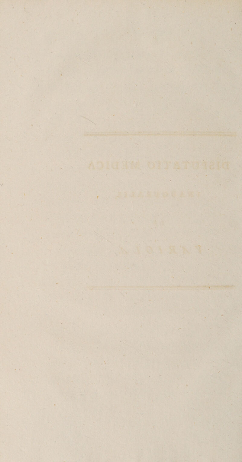 ■ ' - ■ &gt; '. ^ I ■' ■ ■ V /, •1, V-^',  ■/ - iii: '.I- 9 .\: ' V \ i»' i. ^' , l V'