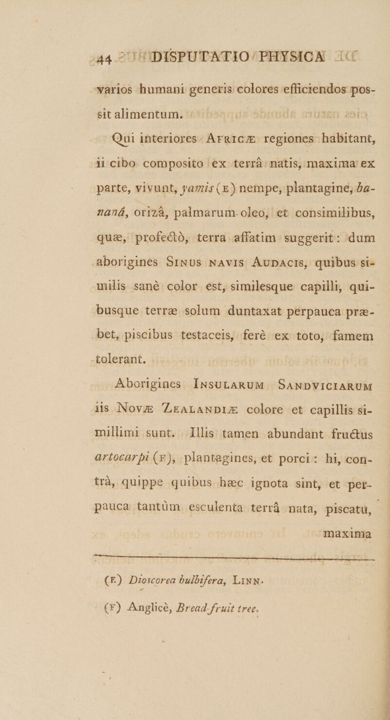 varios humani generis colores efficiendos pos¬ sit alimentum. Qui interiores Africa regiones habitant, ii cibo composito ex terra natis, maxima ex parte, vivunt, yamis(e) nempe, plantagine, ba~ nana, oriza, palmarum oleo, et consimilibus, quas, profetfto, terra affatim suggerit: dum aborigines Sinus navis Audacis, quibus si¬ milis sane color est, similesque capilli, qui¬ busque terrae solum duntaxat perpauca prae¬ bet, piscibus testaceis, fere ex toto, famem tolerant. Aborigines Insularum Sand vici arum iis Nov.ffi Zealandi^e colore et capillis si¬ millimi sunt. Illis tamen abundant fruclus artocarpi (fJ, plantagines, et porci : hi, con¬ tra, quippe quibus haec ignota sint, et per¬ pauca tantum esculenta terra nata, piscatu, maxima (e) Dioscorea bulbifera, Linn- (f) Anglice, Breadfruit tree„