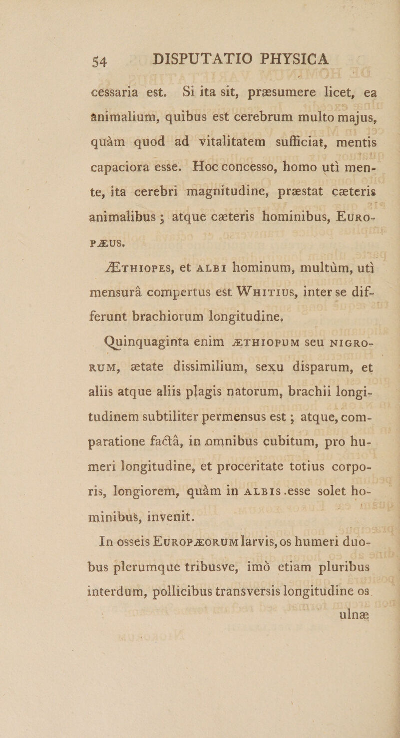 - * (% ✓ cessaria est. Si ita sit, praesumere licet, ea animalium, quibus est cerebrum multo majus, ■j ;|3'' quam quod ad vitalitatem sufficiat, mentis capaciora esse. Hoc concesso, homo uti men¬ te, ita cerebri magnitudine, praestat caeteris animalibus ; atque caeteris hominibus, Euro¬ pius. ^Et hi opes, et albi hominum, multum, uti mensura compertus est Whitius, inter se dif¬ ferunt brachiorum longitudine. Quinquaginta enim aEthxopum seu nigro¬ rum, aetate dissimilium, sexu disparum, et aliis atque aliis plagis natorum, brachii longi¬ tudinem subtiliter permensus est; atque, com¬ paratione fa6la, in omnibus cubitum, pro hu¬ meri longitudine, et proceritate totius corpo¬ ris, longiorem, quam in albis .esse solet ho- * minibufc, invenit. In osseis Europaeorum larvis, os humeri duo¬ bus plerumque tribusve, imo etiam pluribus interdum, pollicibus transversis longitudine os ulnae i