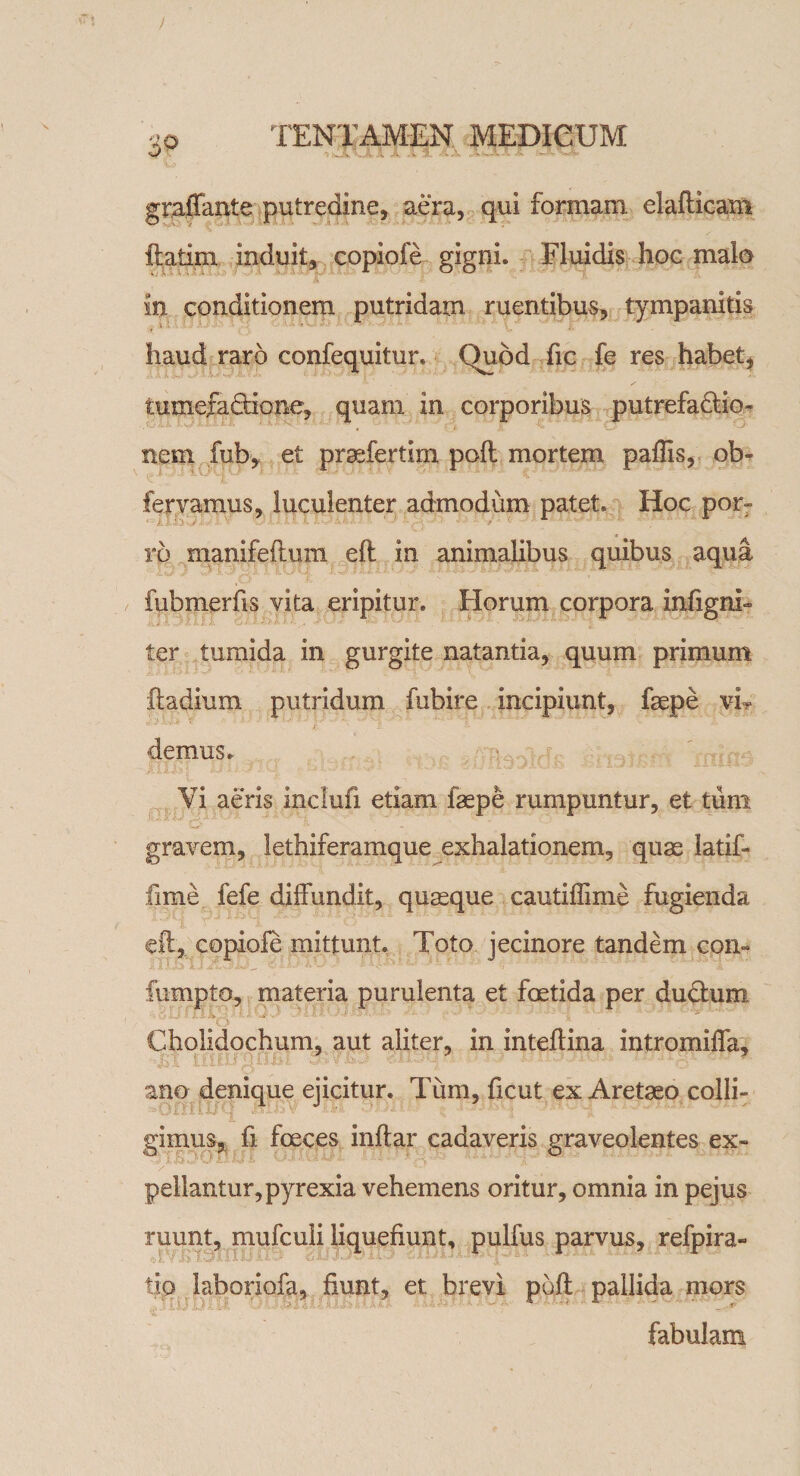 graffante putredine, aera, qui formam elaflicam ftatim induit, copiofe gigni. Fluidis hoc malo in conditionem putridam ruentibus, tympanitis ,*» IIUU JUI) I pa v haud raro confequitur. Quod fic fe res habet* tumefaftione, quam in corporibus putrefadfio- ■ • ■w,“ . ■ ■* • i-, JL ^ A* nem fub, et praefertim pofl mortem paffis, ob« fervamus, luculenter admodum patet. Hoc porr rp manifeftum eft in animalibus quibus aqua fubmerfis vita eripitur. Horum corpora infigni- ter tumida in gurgite natantia, quum primum ftadium putridum fubire incipiunt, fsepe vi¬ demus. Vi aeris inclufi etiam faepe rumpuntur, et tum gravem, lethiferamque exhalationem, quae iatif- fime fefe diffundit, quaque cautiflime fugienda eft, copiofe mittunt. Toto jecinore tandem con- fumpto, materia purulenta et foetida per dudhim Cholidochum, aut aliter, in inteflina intromiffa, ano denique ejicitur. Tum, ficut ex Aretaeo colli¬ gimus, fi foeces inflar cadaveris graveolentes ex¬ pellantur, pyrexia vehemens oritur, omnia in pejus ruunt, mufculi liquefiunt, pulfus parvus, refpira- «[’/ISIjUIlilii? ?.**■**•&amp; tio laboriofa, fiunt, et brevi poft pallida mors fabulam