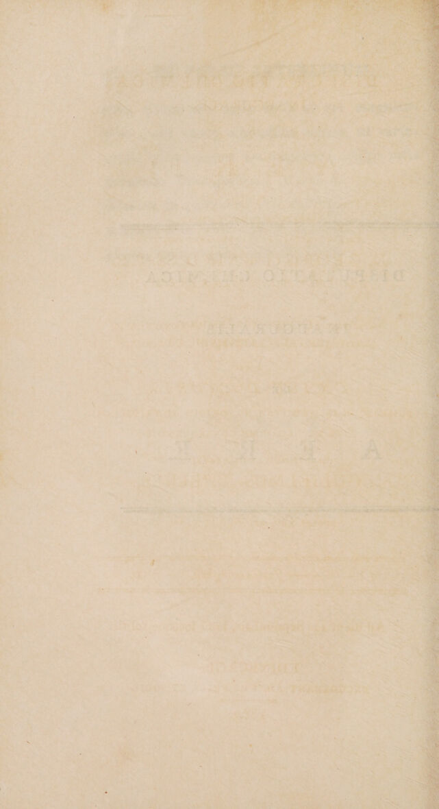 digitised image 2
