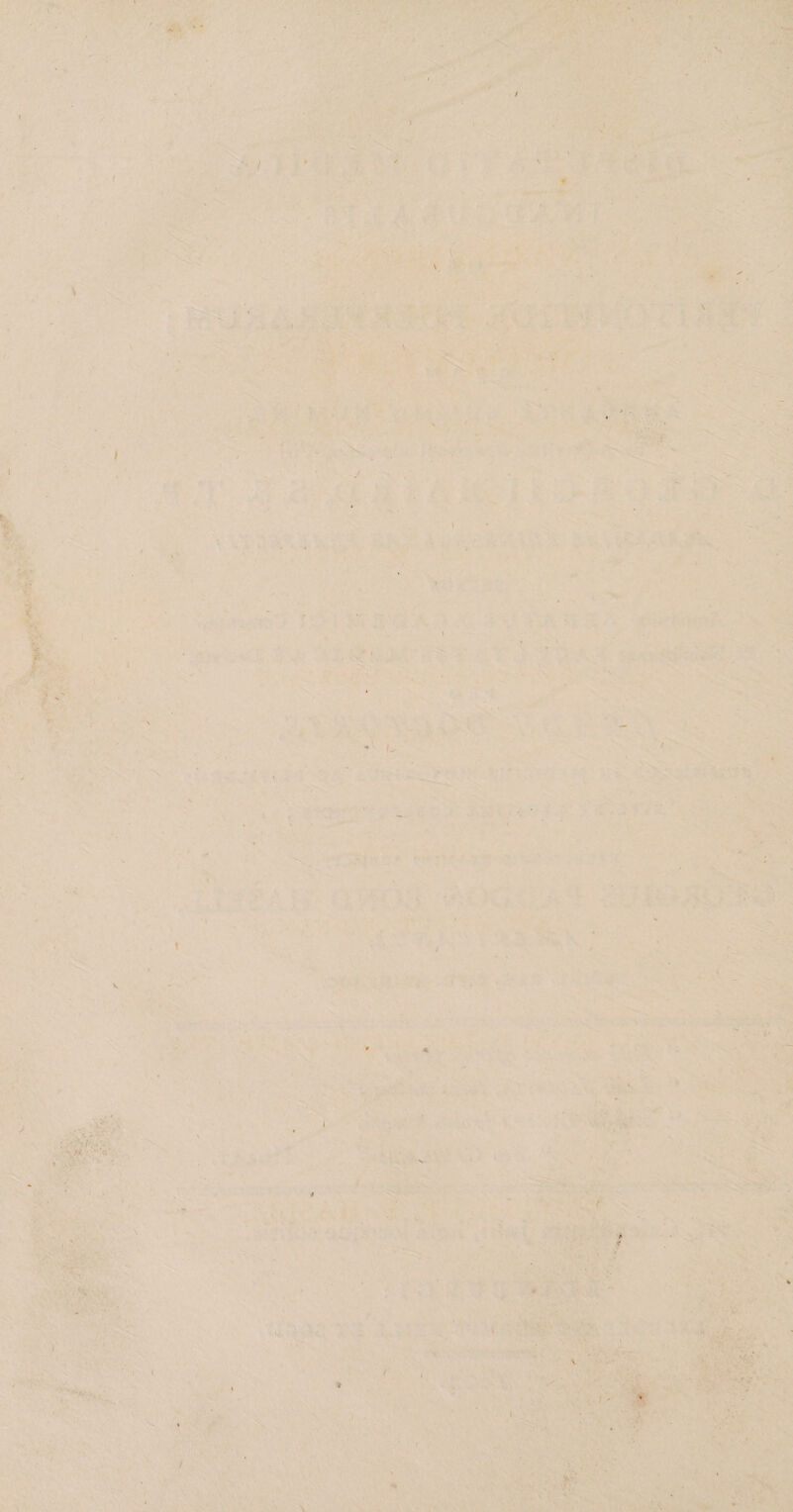 . ■ T<''*rvtK* r. ’ -A'*' \ r V .