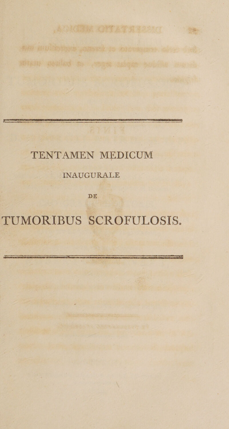 TENTAMEN MJIDICUM INAUGURALE BE TUMORIBUS SCROFULOSIS.
