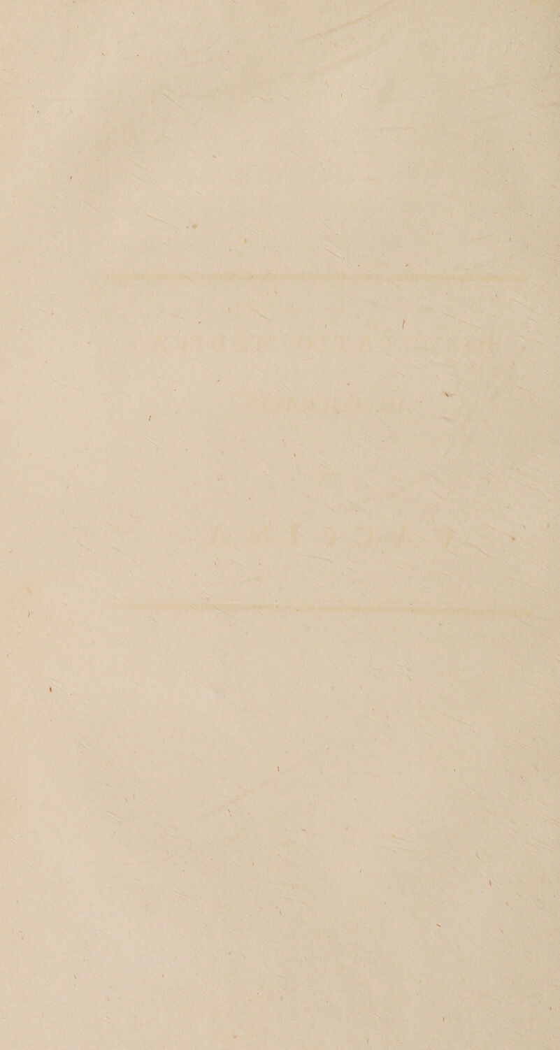 r» 'v' • 'J':'- V !>»?;•- M> ‘* I s' t •••. ^ . ,N ■-'. ’ j' ■ ■ V:'i ', --'T^;. 'V'•- ,^- • ,. ifl '^V-4y '‘-i '> :';%'v’l V''r, ■ \ * r''*>'-‘‘ •< • ^. ■ I