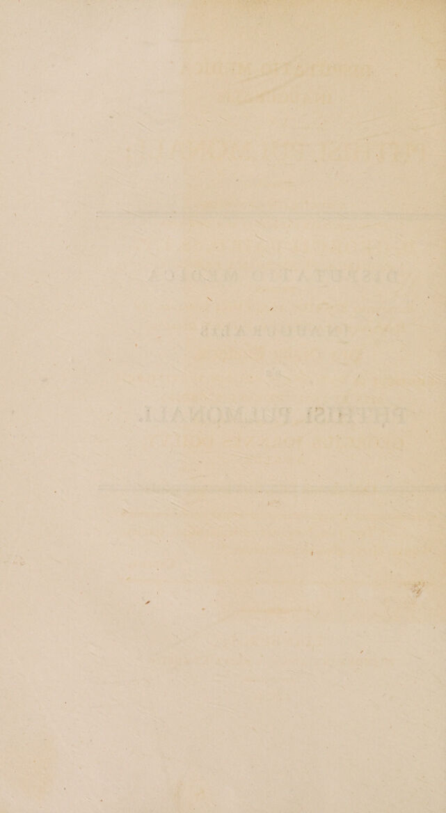 digitised image 2