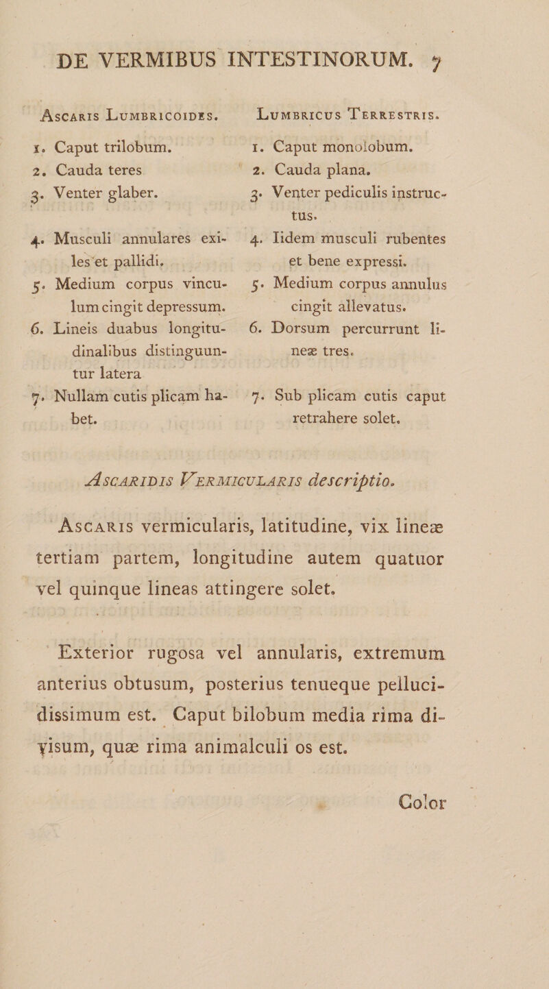 Ascaris Lumbricoides. 1. Caput trilobum. 2. Cauda teres 3. Venter glaber. 4. Musculi annulares exi¬ les et pallidi. 5. Medium corpus vincu¬ lum cingit depressum. 6. Lineis duabus longitu¬ dinalibus distinguun¬ tur latera 7. Nullam cutis plicam ha¬ bet. Lumbricus Terrestris. 1. Caput monoiobum. 2. Cauda plana. 3. Venter pediculis instruc¬ tus. 4. Iidem musculi rubentes et bene expressi. 5. Medium corpus annulus cingit allevatus. 6. Dorsum percurrunt li- nese tres, 7. Sub plicam cutis caput retrahere solet. Ascaridis Vermicularis descriptio. Ascaris vermicularis, latitudine, vix lineas tertiam partem, longitudine autem quatuor vel quinque lineas attingere solet. Exterior rugosa vel annularis, extremum anterius obtusum, posterius tenueque pelluci- dissimum est. Caput bilobum media rima di¬ visum, quae rima animalculi os est. Color