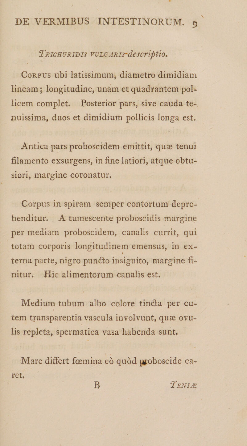 TRICHUR ID IS VUL GARIS'de SCripti 0. Corpus ubi latissimum, diametro dimidiam lineam; longitudine, unam et quadrantem pol¬ licem complet. Posterior pars, sive cauda te¬ nuissima, duos et dimidium pollicis longa est. / Antica pars proboscidem emittit, quas tenui filamento exsurgens, in fine latiori, atque obtu¬ siori, margine coronatur. Corpus in spiram semper contortum depre¬ henditur. A tumescente proboscidis margine per mediam proboscidem» canalis currit, qui totam corporis longitudinem emensus, in ex- t terna parte, nigro pundto insignito, margine fi¬ nitur. Hic alimentorum canalis est. r Medium tubum albo colore tindla per cu¬ tem transparentia vascula involvunt, quae ovu- lis repleta, spermatica vasa habenda sunt. \ • Mare differt foemina eo quod proboscide ca¬ ret. B Teni Ai \