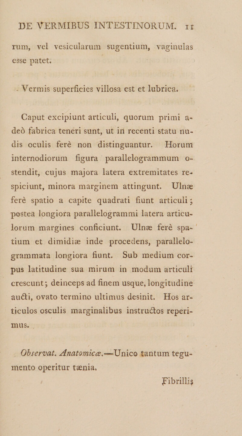 rum, vel vesicularum sugentium, vaginulas esse patet* - Vermis superficies villosa est et lubrica» Caput excipiunt articuli, quorum primi a» deo fabrica teneri sunt, ut in recenti statu nu¬ dis oculis fere non distinguantur. Horum internodiorum figura parallelogrammum o- stendit, cujus majora latera extremitates re¬ spiciunt, minora marginem attingunt. Ulnae fere spatio a capite quadrati fiunt articuli; postea longiora parallelogrammi latera articu¬ lorum margines conficiunt. Ulnae fere spa¬ tium et dimidiae inde procedens, parallelo- grammata longiora fiunt. Sub medium cor¬ pus latitudine sua mirum in modum articuli crescunt; deinceps ad finem usque, longitudine audi, ovato termino ultimus desinit. Hos ar¬ ticulos osculis marginalibus instrudos reperi- mus. Observat. Anatomica.—Unico tantum tegu¬ mento operitur taenia. Fibrillis