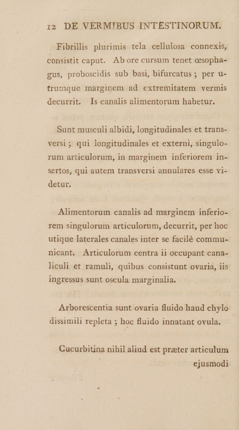 Fibrillis plurimis tela cellulosa connexis, consistit caput. Ab ore cursum tenet cesopha- i gus, proboscidis sub basi, bifurcatus; per u- trumque marginem ad extremitatem vermis decurrit. Is canalis alimentorum habetur. Sunt musculi albidi, longitudinales et trans¬ versi ; qui longitudinales et externi, singulo¬ rum articulorum, in marginem inferiorem in¬ sertos, qui autem transversi annulares esse vi¬ detur. Alimentorum canalis ad marginem inferio¬ rem singulorum articulorum, decurrit, per hoc utique laterales canales inter se facile commu¬ nicant. Articulorum centra ii occupant cana¬ liculi et ramuli, quibus consistunt ovaria, iis ingressus sunt oscula marginalia. Arborescentia sunt ovaria fluido haud chylo dissimili repleta ; hoc fluido innatant ovula. Cucurbitina nihil aliud est praeter articulum ejusmodi *