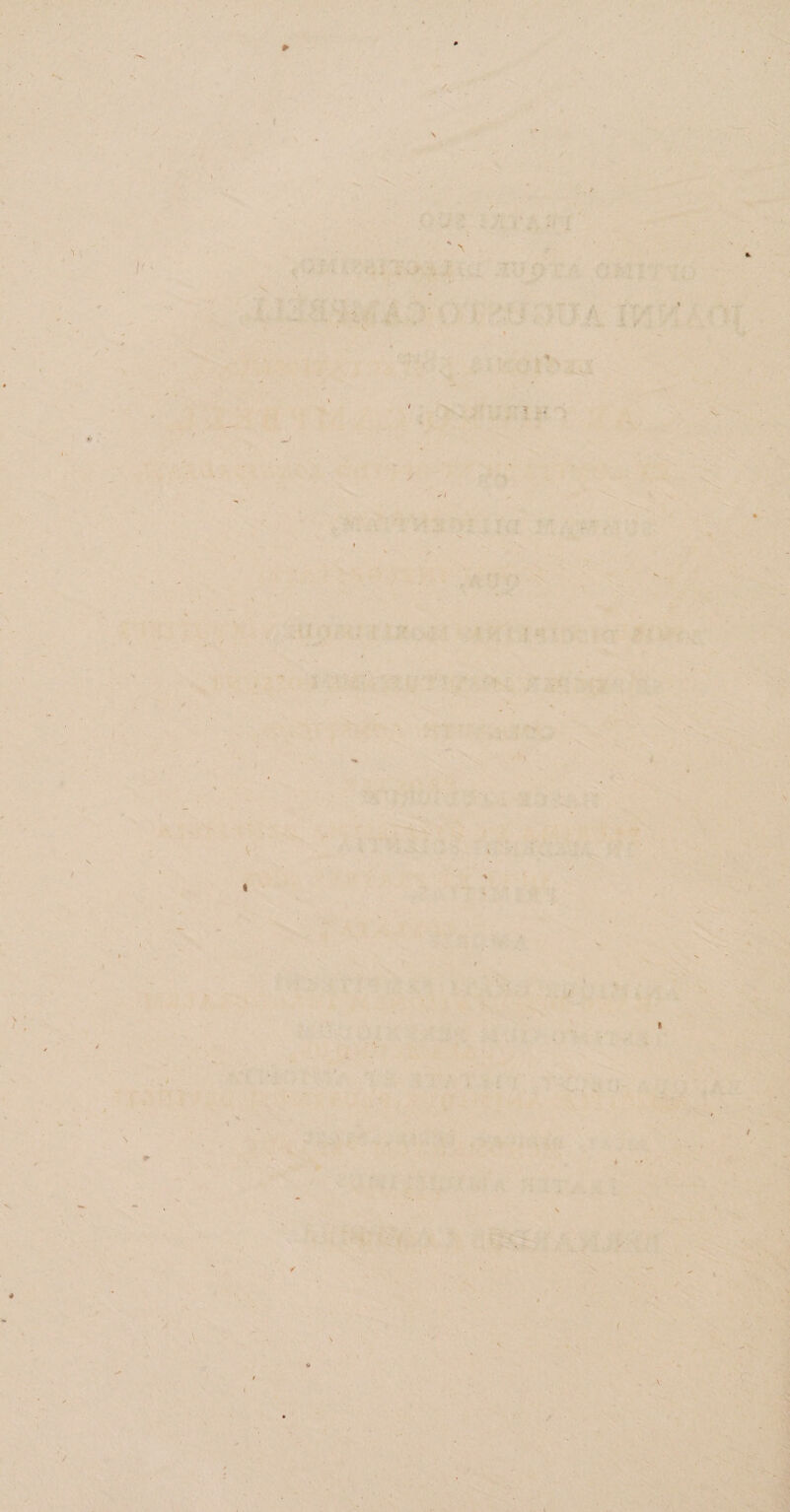 1 ■/ I i V i (f I V I / *• * *' « ( X