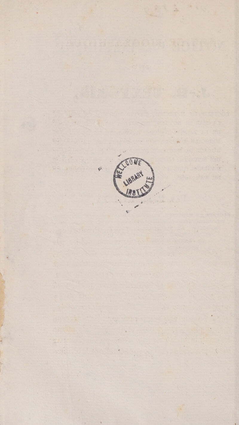 m if* V ■ i « y *