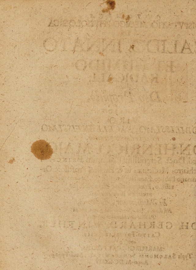 digitised image 2