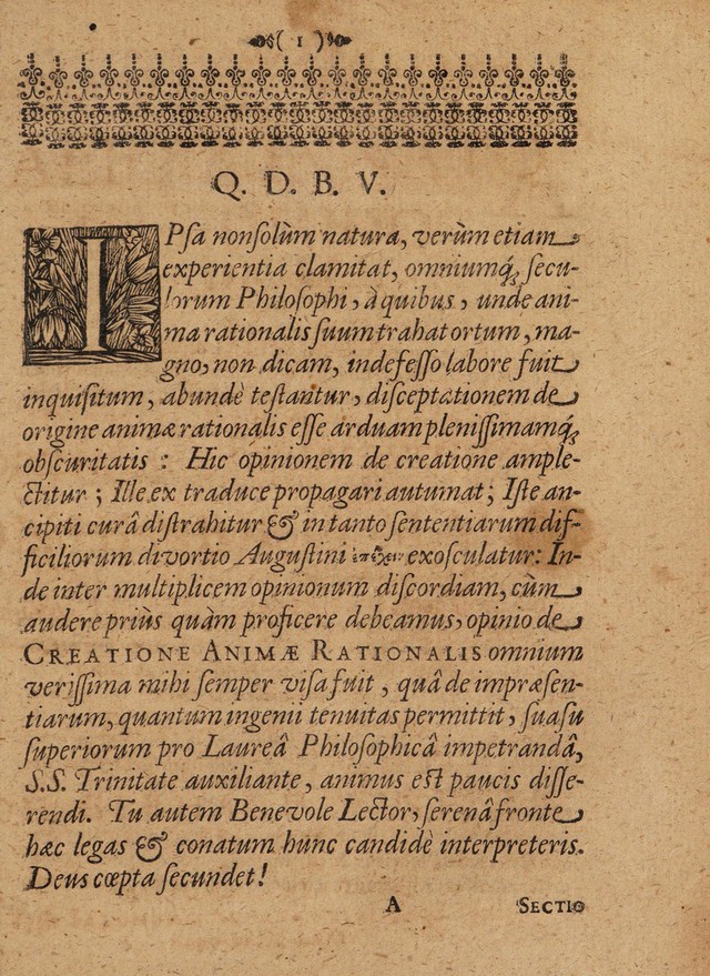 digitised image 3