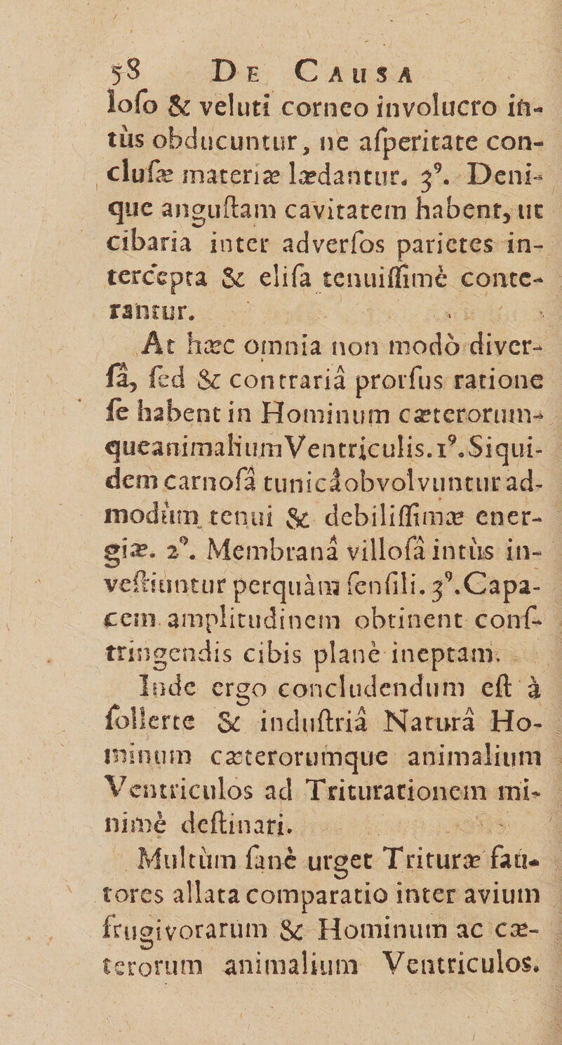 lofo &amp; veluti corneo involucro in¬ tus obducuntur, ne afperitate con» clufe materiae laedantur, Deni¬ que anguftam cavitatem habent, ut cibaria inter adverfos parietes in¬ tercepta &amp; elifa tenuiffime conte¬ rantur. At hsec omnia non modo diver- fa, fed &amp; contraria prorfus ratione le habent in Hominum ca?terorum- queanimaluimVentriculis.i9. Siqui¬ dem carnofa jtuniclobvolvuntur ad¬ modum tenui &amp; debiliflimse ener¬ gia. 2°* Membrana villofa intus in- veftiimtur perquam fenfili. 39.Capa- cein amplitudinem obtinent conA tringendis cibis plane ineptam, Inde ergo concludendum eft a follerte &amp; induftria Natura Ho¬ minum ca3terorumque animalium Ventriculos ad Triturationem mi¬ nime deftinari. Multum fane urget Tritura fati* tores allata comparatio inter avium fru2ivorarum.Sc Hominum ac ese- terorum animalium Ventriculos.