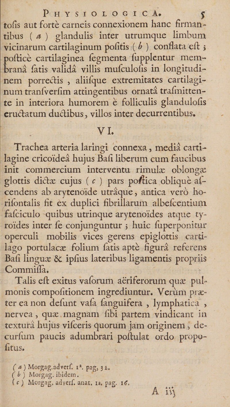 tofis aut forte carneis connexionem hanc firman¬ tibus ( a ) glandulis inter utrumque limbum vicinarum cartilaginum pofitis ( b ) conflata eft &gt; poftice cartilaginea legmenta fupplentur mem¬ brana latis valida villis mufculofis in longitudi¬ nem porrectis , aliifque extremitates cartilagi¬ num tranfverfim attingentibus ornata trafmitten- te in interiora humorem e folliculis glandulofis erudatum ductibus 5 villos inter decurrentibus. VL &lt;■ ^ „ . Trachea arteria laringi connexa, medhi carti¬ lagine cricoidea hujus Bafi liberum cum faucibus init commercium interventu rimula: oblonga glottis di da cujus ( c ) pars po/tica oblique af- cendens ab arytenoide utraque, antica vero ho- rifontalis fit ex duplici fibrillarum albefcentium fafciculo quibus utrinque arytenoides atque ty- roides inter fe conjunguntur 5 huic fuperponitur operculi mobilis vices gerens epiglottis carti¬ lago portulaca folium fatis apte figura referens Bafi lingua &amp;c ipfius lateribus ligamentis propriis Commifla. Talis eft exitus vaforum aeriferorum qua pul¬ monis compofitionem ingrediuntur. Verum prae¬ ter ea non defunt vafa (anguifera , lymphatica &gt; nervea, qua magnam fibi partem vindicant in textura hujus vifceris quorum jam originem &gt; de- curfum paucis adumbrari poftulat ordo propo- fitus. ( a) Morgag. ad ver f. ia. pag, 31. ( b ) Morgag. ibidem, ( c ) Morgag, adycrf. anau n, pag. ie.