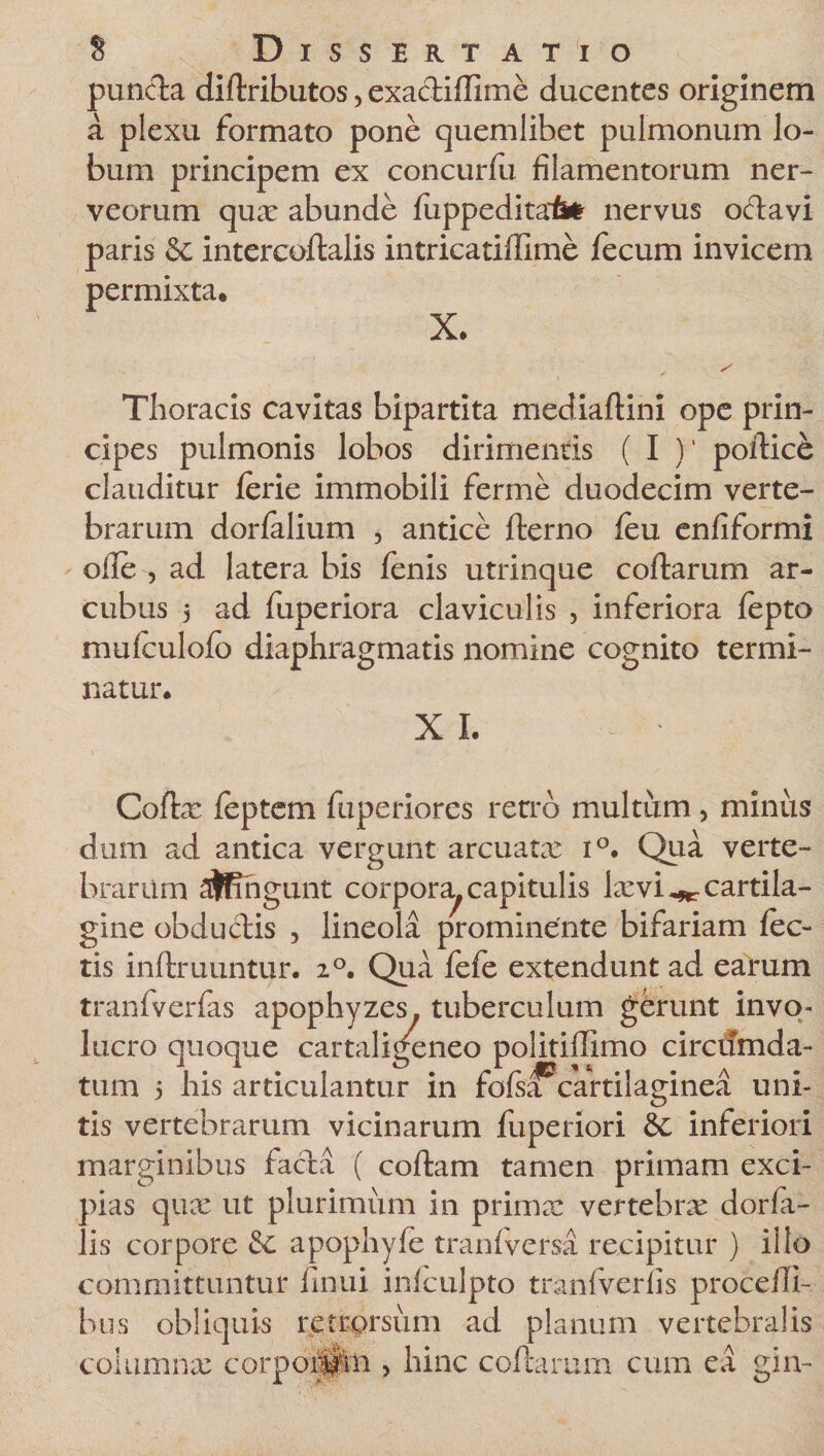 puncta didributos, exactiflime ducentes originem a plexu formato pone quemlibet pulmonum lo¬ bum principem ex concurfu filamentorum ner- veorum qua: abunde fiippedita^ nervus odavi paris &amp; intercodalis intricatiffime fecum invicem permixta. X. Thoracis cavitas bipartita mediadini ope prin¬ cipes pulmonis lobos dirimentis ( I V podice clauditur ferie immobili ferme duodecim verte¬ brarum dorfalium , antice derno feu enfiformi olle , ad latera bis fenis utrinque codarum ar¬ cubus 5 ad fuperiora claviculis , inferiora fepto mufculofo diaphragmatis nomine cognito termi¬ natur. X I. Coda: feptem fuperiorcs retro multum &gt; minus dum ad antica vergunt arcuatae i°. Qua verte¬ brarum ajBngunt corpora^ capitulis lam^ cartila¬ gine obductis 5 lineola prominente bifariam lec¬ tis indruuntur. 20. Qua fefe extendunt ad earum tranfverfas apophyzes. tuberculum gerunt invo¬ lucro quoque cartaligeneo politiffimo circumda¬ tum 5 his articulantur in fofs^cartilaginea uni¬ tis vertebrarum vicinarum fuperiori &amp; inferiori marginibus facta ( codam tamen primam exci¬ pias quae ut plurimum in primx vertebrae dorfa- lis corpore 8t apophyie tranf versa recipitur ) illo committuntur finui infculpto tranfverhs procefli- bus obliquis retrprsum ad planum vertebralis columna: corpoil|tn , hinc codarum cum ea gin-