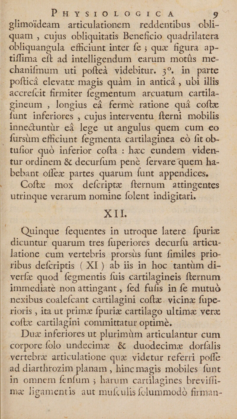 glimoideam articulationem reddentibus obli¬ quam , cujus obliquitatis Beneficio quadrilatera obliquangula efficiunt inter fe 5 qux figura ap- tiffima eft ad intelligendum earum motus me- chanifmum uti poftea videbitur. 30. in parte poftica elevatx magis quam in antica , ubi illis accrefcit firmiter Tegmentum arcuatum cartila¬ gineum , longius ea ferme ratione qua coftx funt inferiores , cujus interventu fterni mobilis innectuntur ea lege ut angulus quem cum eo Tursiim efficiunt Tegmenta cartilaginea eo fit ob- tufior quo inferior cofla : hxc eundem viden¬ tur ordinem &amp; decurfum pene Tervare quem ha¬ bebant offiex partes quarum funt appendices, Cofbe mox defcriptx fternum attingentes utrinque verarum nomine Tolent indigitari, XII. Quinque fequentes in utroque latere fpurix dicuntur quarum tres fiiperiores decurTu articu¬ latione cum vertebris prorsiis funt fimiles prio¬ ribus defcriptis ( XI ) ab iis in hoc tantum di- verfae quod Tegmentis fuis cartilagineis fternum immediate non attingant, fed fufis in fe mutuo nexibus coalefcant cartilagini coftx vicinae fupe- rioris, ita ut primae fpurix cartilago ultimae verx coftx cartilagini committatur optime. Dux inferiores ut plurimum articulantur cum corpore folo undecimx &amp;c duodecimx dorfalis vertebrx articulatione qux videtur referri poffe ad diarthrozim planam , hinc magis mobiles funt in omnem fenfum &gt; harum cartilagines brevifll- mx ligamentis aut mulculis Tolummodb firman-