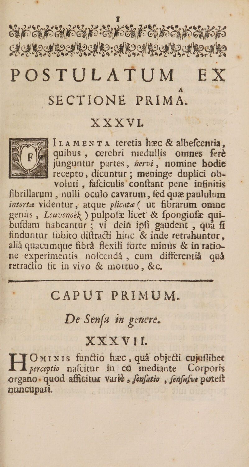 POSTULATUM EX SECTIONE PRIMA. XXXVI. Ilamenta teretia li^c &amp; albefcentia, quibus , cerebri niedullis oniiies junguntur partes, nervi ^ nomine hodie recepto, dicuntur; meninge duplici ob¬ voluti , fafciculis* condant pene infinitis fibrillarum , nulli oculo cavarum, fed qoae paululom intorta videntur, atque -plicata ( ut fibrarum onine genus , Lmvenoeh^) pulpofae licet %l fpoogiofae qoi- bufdam habeantur ; vi deiA ipli gaudent , qui fi finduntur lubito diliradi hinc &amp; inde retrahootor, alia quacumque fibri flexili forte minus &amp; io ratio¬ ne experimentis nofcendS , cum difterentii qoa retraftio fit in vivo &amp; mortuo, &lt;&amp;c. CAPUT PRIMUM. Dc Senfu in genere. XXXVII. Ominis funflio haec, qua ohjeSi cujutlibet perceptio nafcitur in eO mediante Corporis organo* quod afficitur varie ^ fenfatk , fenfMfwpoteft^ nuncupari.