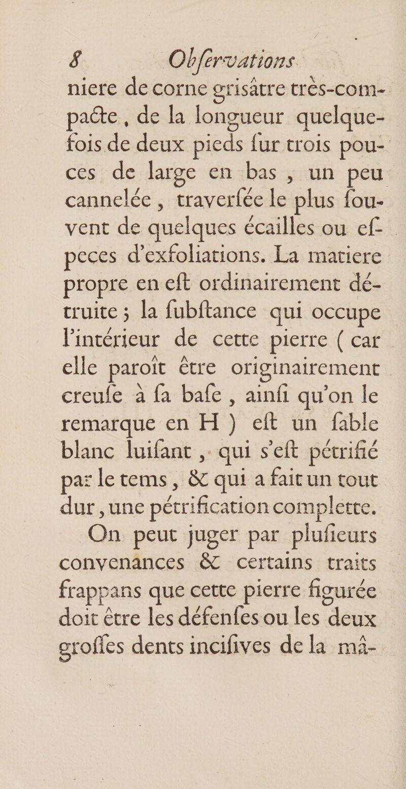 niere de corne grisâtre très-coni- pa6te , de la longueur quelque¬ fois de deux pieds fur trois pou¬ ces de large en bas , un peu cannelée , traverfée le plus fou- vent de quelques écailles ou ef- peces d’exfoliations. La matière propre en eft ordinairement dé¬ truite 5 la fubftance qui occupe l’intérieur de cette pierre ( car elle paroît être originairement creufe à fa bafe , ainli qu’on le remarque en H ) eft un fable blanc luifant qui s’eft pétrifié par le tems, ÔC qui a fait un tout dur, une pétrification complette. On peut juger par plufleurs convenances ÔC certains traits frappans que cette pierre figurée doit être les défenfes ou les deux groffes dents incifives de la mâ-