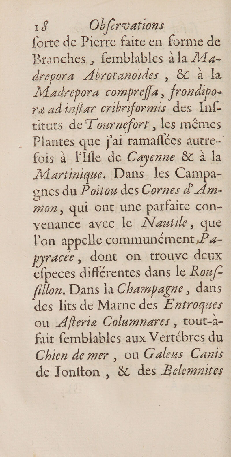 force de Pierre faite en forme de Branches ^ fembîables à la dreÿora Abrotanoïdes , ôc a la I\dadrePora comprejja, jrondtpoo TA ad mfiar cribnformis des Inf- ticuts de Tdournefort, les mêmes Plantes que j’ai ramaifées autre¬ fois à l’Ifle de Cayenne &: à la ^Martinique. Dans les Campa¬ gnes du Poitou des Cornes d’Am¬ man ^ qui ont une parfaite con¬ venance avec le Nautile, que l’on appelle communément pyracée, dont on trouve deux efpeces différentes dans le Rouf- (îllon. Dans la Champagne, dans des lits de Marne des Entroques ou Afteria Columnares, tout-a- fait fembîables aux Vertèbres du Chien de mer , ou G ale us Canis de Jonfton , ÔC des Bekmmtes