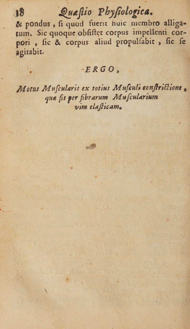 |$ jQuiejlio Phy/tologicA. &amp; pondus , (i quod fuerit huic membro alliga¬ tum. Sic quoque obfiftec corpus impellenti cor¬ pori , fic &amp; corpus aliud propullabic , fic fe ERGO, jftiotus Muficularls ex totius Mnfsuli ccnJfrlEllone 9 fit per fibrarum MufcuUrium vim elafiicam•