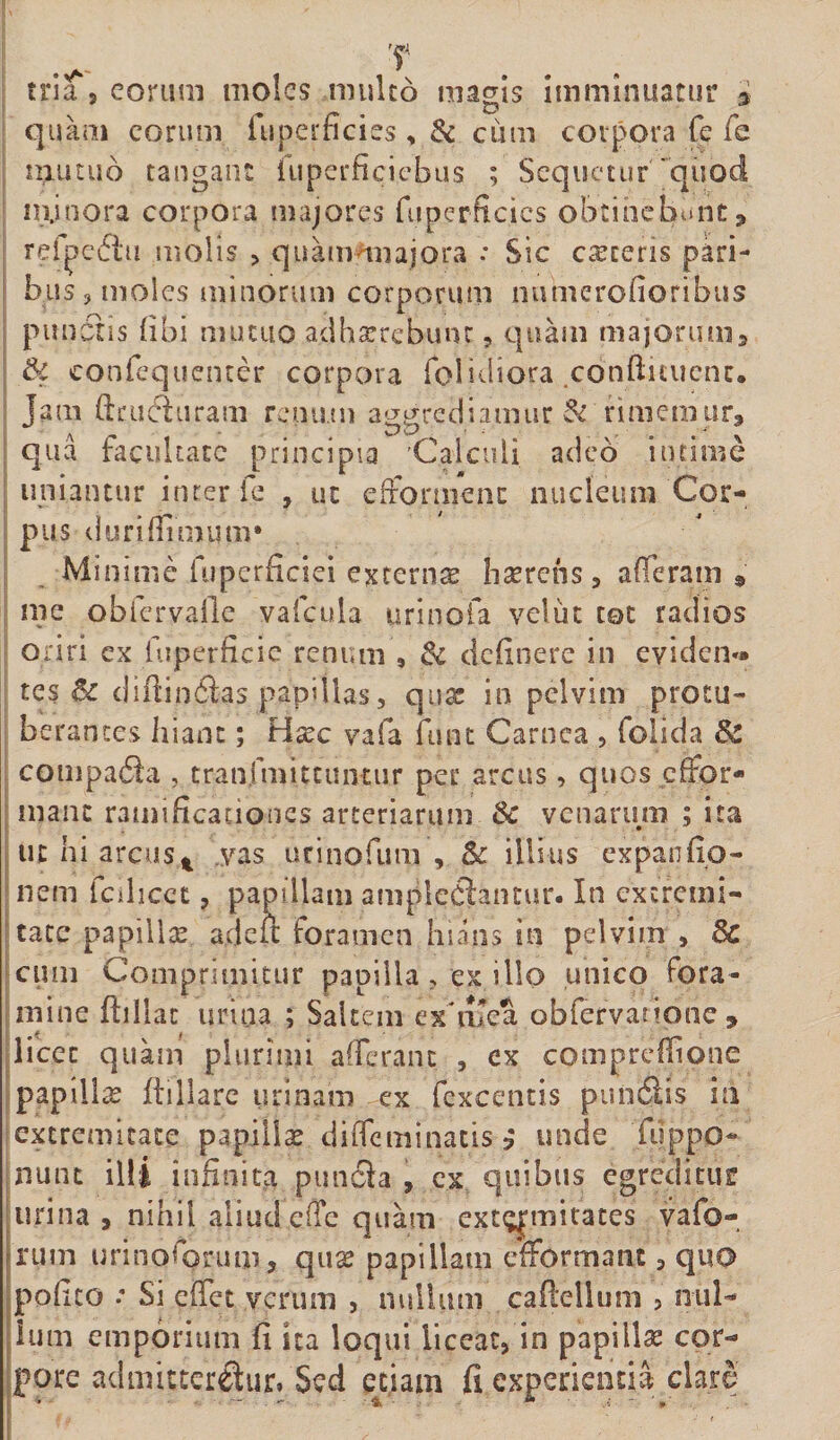 tria , eorum moles multo ma^Is Imminuatur ^ quam eorum ruperficies , &amp; cum corpora fe fe I mutuo tangant fuperficiebus ; Sequetur'quod minora corpora majores fiiperficics obtinebunt, reipedtu molis &gt; quammiajora : Sic canteris pari- i bus 3 moles minorum corporum numerofioribus I pun ctis (ibi muttio adharrebunr, quam majorum, : &amp; confequenter corpora folidiora .conftuucnc. ' Jam drufturam renum aggrediamur rimemur, : qua facultate principia Calculi adeo intime ; liniantur inter fe , ut efronnenc nucleum Cor¬ pus duri (limum* Minime luperficiei extern^ brerens, a(reram , mc obfervalle va(cula urinofa veliit tot radios oriri ex hiperficic renum , dc definere in eviden»» tes 6^ diftindas papillas, quas in pelvim protu- I berantes hiant; Hxc vafa funt Carnea , folida &amp; i compada , tranimittuntur per arcus, quos cfFor- [ mane ramificaciones arteriarum &amp;c venarum ; ita I ut hi arcus4 yas urinofum , 5c illius expanfio- |nem (cilicct, papillam ampleclantur. In cxcrcini- |tace papilix adeu foramen hians in pelvim , 8c foum Comprimitur papilla, ex illo unico fora- imine ftillac urina ; Saltem ex^nlea obfervarione , ilicee quam plurimi afreranc , ex compreflione ?papillx ftillarc urinam ex fcxcentis punflis in extremitate papiiix diffeminatis ? unde fiippo- jiTunt illi infinita pim6la , ex quibus egreditur urina , nihil aliud e(?e quam ext(;jmirates vafo- rum urinoforum, qux papillam efformaiit, quo pofico .• Si effet verum , nullum caftelluni , mil¬ ium emporium fi Ita loqui iiceac, in papillas cor- ipore admitteretur. Sed etiam fi experientia clare I ’ ' ’