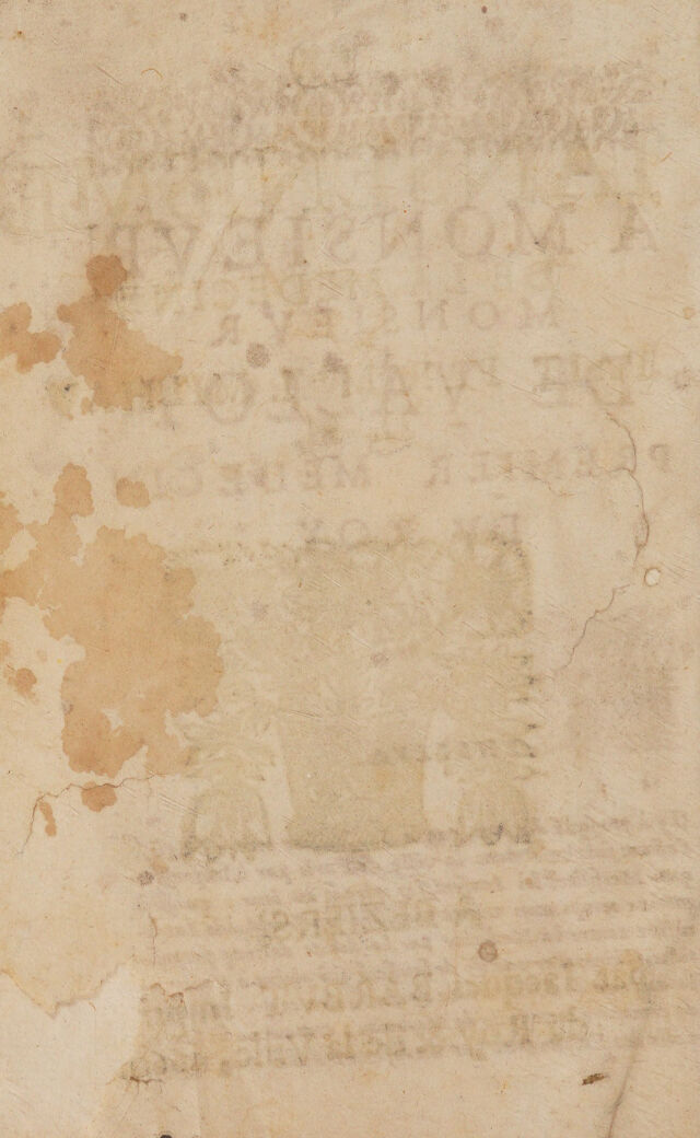 digitised image 2