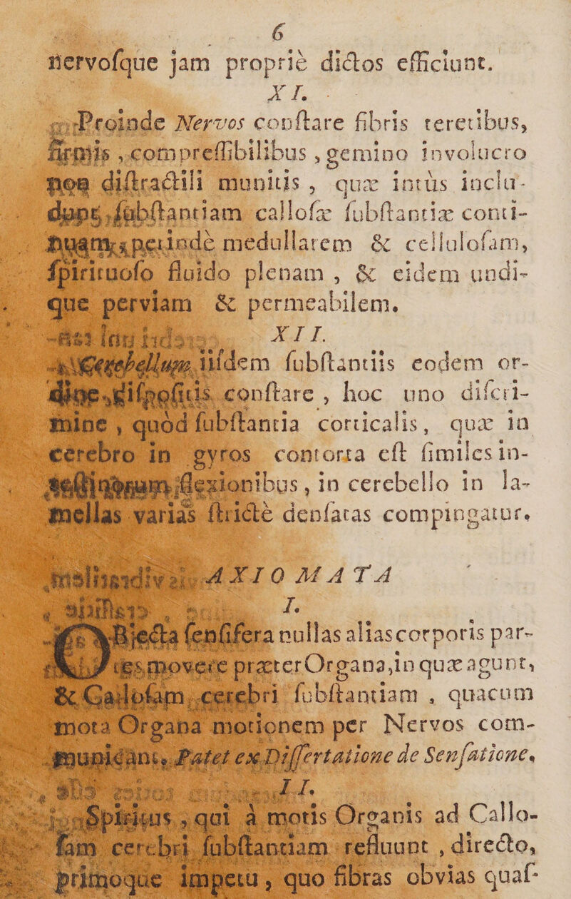 liervofcpe jam proprie didos efficiunt. X r. ,, ^Proinde Nervos cooftare fibris teretibus^ %ptis , compreffibilibus, gemino involucro diftradili muoids , qux intus inclii- C^jig vjfebftantia callofe ffibftantix conti- linde medullarem &amp; c e 1! u I ofa m, jpiriruofo fluido plenam , Sc eidem undi¬ que perviam 5c permeabilem. Ifirj hc.: ^ XTI. iifdcm fubftantiis eodem or- conflare , hoc uno difcii- feinc , quod fubflantia corticalis, qux io cerebro in gyros contona efl fimilcsin- *91^ifle^ionibus, in cerebello in Ia- varias ftiicfle denlacas compingatur. j •;&gt;; #■ !• ti^}€&lt;flafenriferanifllasa!iascorp^ par- , „, .,riCs,movccc prreterOrganadn qux agu rir, fubftantiara , quacum inota Organa motionem per Nervos com- , ex-Dijfertatione de SenfrtionCn I 5 qui a motis Organis ad Callo- iam cert b4 /ubftantiam refluunt ,dirc(3:o, prirtioqac irnpetu, quo fibras obvias quafl