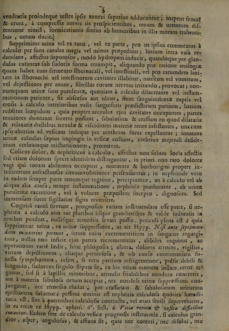 cendestia proindeque teftes ipfis annexi fuperius adducuntur; 'torpent femuf &amp; crura, a compreflis nervis iis profpicicntibus, renum &amp; ureterum dif- tentione nimia , formicationis fenlus ab humoribus in illis moram trahenti- bus , ortum ducit.j Supprimitur urina vel cx toto , vel ex parte, pro ut ipfius commeatus a calculo per fuos canales magis vel minus praepeditur; lotium intra vafa re¬ dundans, affedlus foporofos , modo hydropem inducit, quandoque per glan¬ dulas cutaneas fub fudoris forma errumpic, aliquando pro ratione analogia quam habet cum fermento fthomacali, vel inceftinali, vel pro earumdem laxi¬ tate in flhomachi uel incefhnorum cavitates lllabitur, naufeam vel vomitum, vel dejediones per anum , fibrillas eorum nerveas irritando , provocat; non¬ numquam urinar funt purulentar, quoniam a calculo dilacerante vel inflam¬ mationem pariente , fit abfcefus aut ulcus, fnint fanguinolcntse ruptis vel erofis a calculo interioribus vafis fanguifens pr^didarum partium, lotium redditur limpidum , quia propter arenulas ejus cavitates occupantes , partes tenuiores dumtaxat fcccrni poflunc , fabulofurri &amp; craflum eo quod dilatatis &amp; relaxatis dudlibus arenul* &amp; vifeidiores materia renes infeftantes, una cum ipio ubertim ad veficam indeque per urethram foras expellantur ; innatans urinas calculus faspius impingit in veficar colium , crebnus mejendi defide- rium crebramquc mi&lt;5hiritionem , promovet. Colicus dolor , &amp; nephriticus a calculo , affe&lt;5his non foliim locis affe&amp;is fcd etiam dolorum fpecic identidem diffinguntur, in priori non raro dolores vagi qui cocum abdomen occupant , murmura di borborigmi propter in- teidnorum anfradluofas circumvolutiones perfentiuntur ; in nephritide vero in eadem iemper parte renumque regione, percipiuntur, an a calculo vel ab aliqua alia catii3 , nempe inflammatione , nephricis producatur , ab urinas purulentae excrecionc , vel a vulnere praepollere fuccpto . dignofees. Sed immenium foret figiilacim figna rccenfere. Cognita causa fovente , prognofim variam inftituendani effe patet, fi ne¬ phritis a calculo uno aut pluribus iifque grandioribus &amp; valde induratis i» renibus pendeat, nullifque remediis levari poflic, periculi plena efl: &gt; quia fupprimicur urina , ex urinas (uppreflione, ut ait Hypp, Niji ante feptimunis diem m.nxerint pereunt , lcrum enim excrementitium in fanemine remirgi- taus, nullas non inficit ejus partes recrementitias , alibiles inquinat , ac opcraciones varie laedic, hinc phlogofes ; ulcera, dolores atroces, vigilias, viriuni dejedlionem , aliaquc perniciofa , &amp; ob caufse contumaciam fu- nella fympthomata , infert , fi vero partium refrigeratione , pulfu debili dc languido, iudoreve frigido flipatafic, cx his etiam mortem inflare certo ar¬ guitur, fcd fi a lapillis minoribus, arenulis friabilibus nondum concretis, aut a materia fabuloia ortum accipiat, nec notabili urinas fupprsdfioni con¬ jungatur , nec remedia eludat , per craflarum &amp; fabulofaruin urinarum ejedtionem foliietur,’ peflimi ominis efl nephricis calculofa quoties haer«di- taria efl, flve a -parentibus calculofis contradla , vel xtati fenili fupervehiens , in ea enim ex Hypp, aphor. 6fe£h 6. Vitia renum &amp; vejtca difficilius curantur. Eadem fere dc calculo veficas prosmofis inftituenda . fi calculus sran. eior, aiper, angulofus, &amp; affixus fit, quia nec conteri, nec difolui , nec